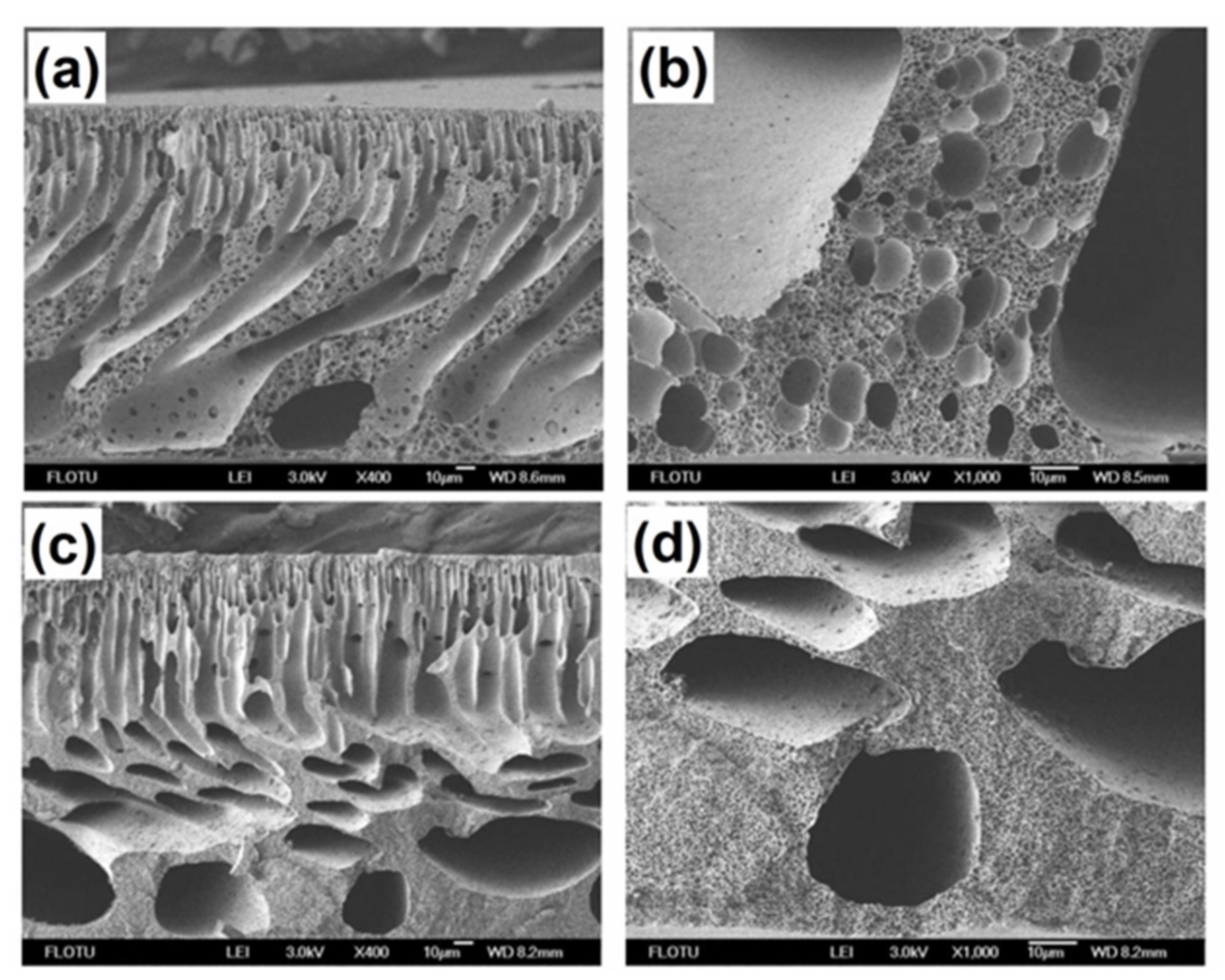 Membranes 12 00247 g007 550