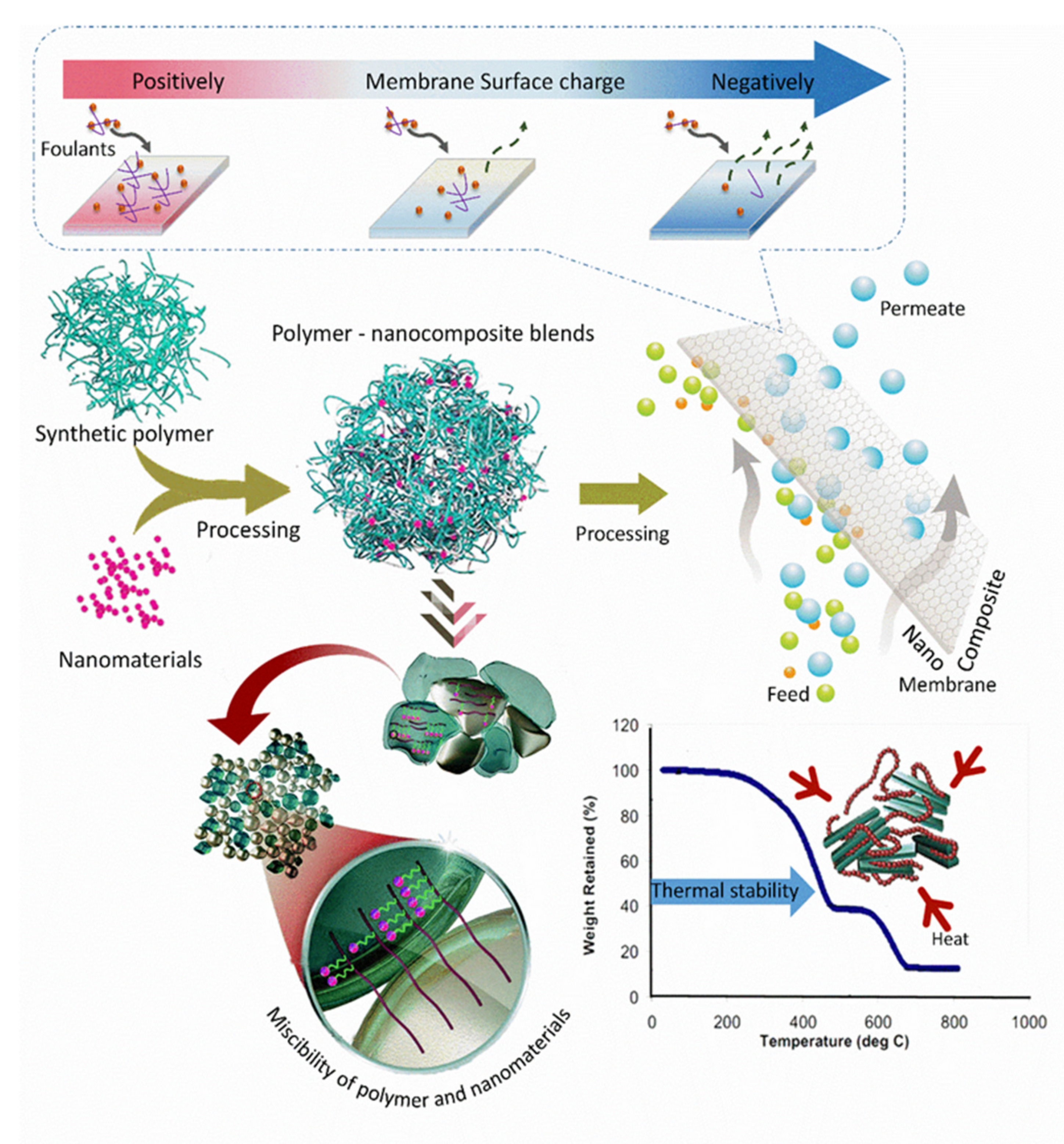 Membranes 12 00247 g009 550