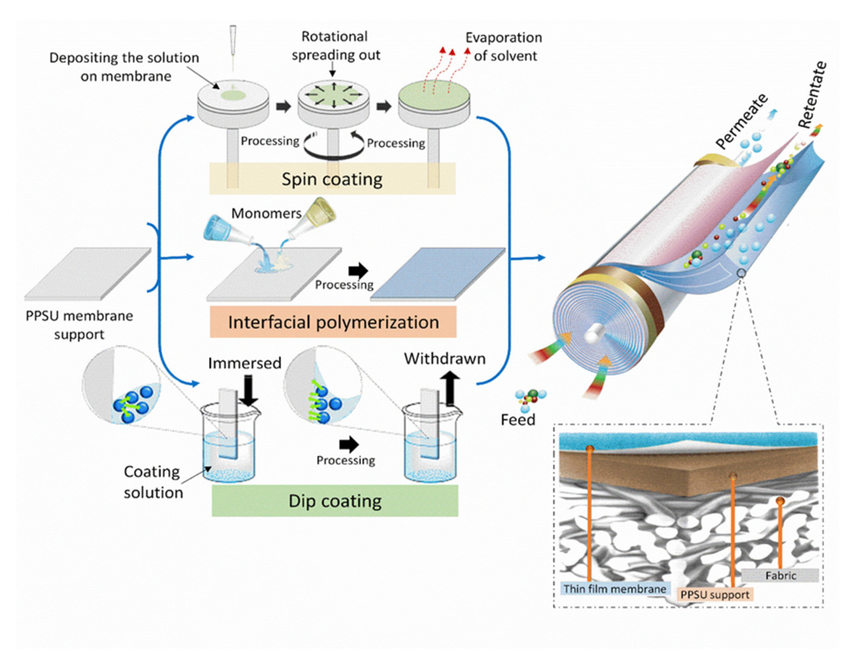 Membranes 12 00247 g011 550