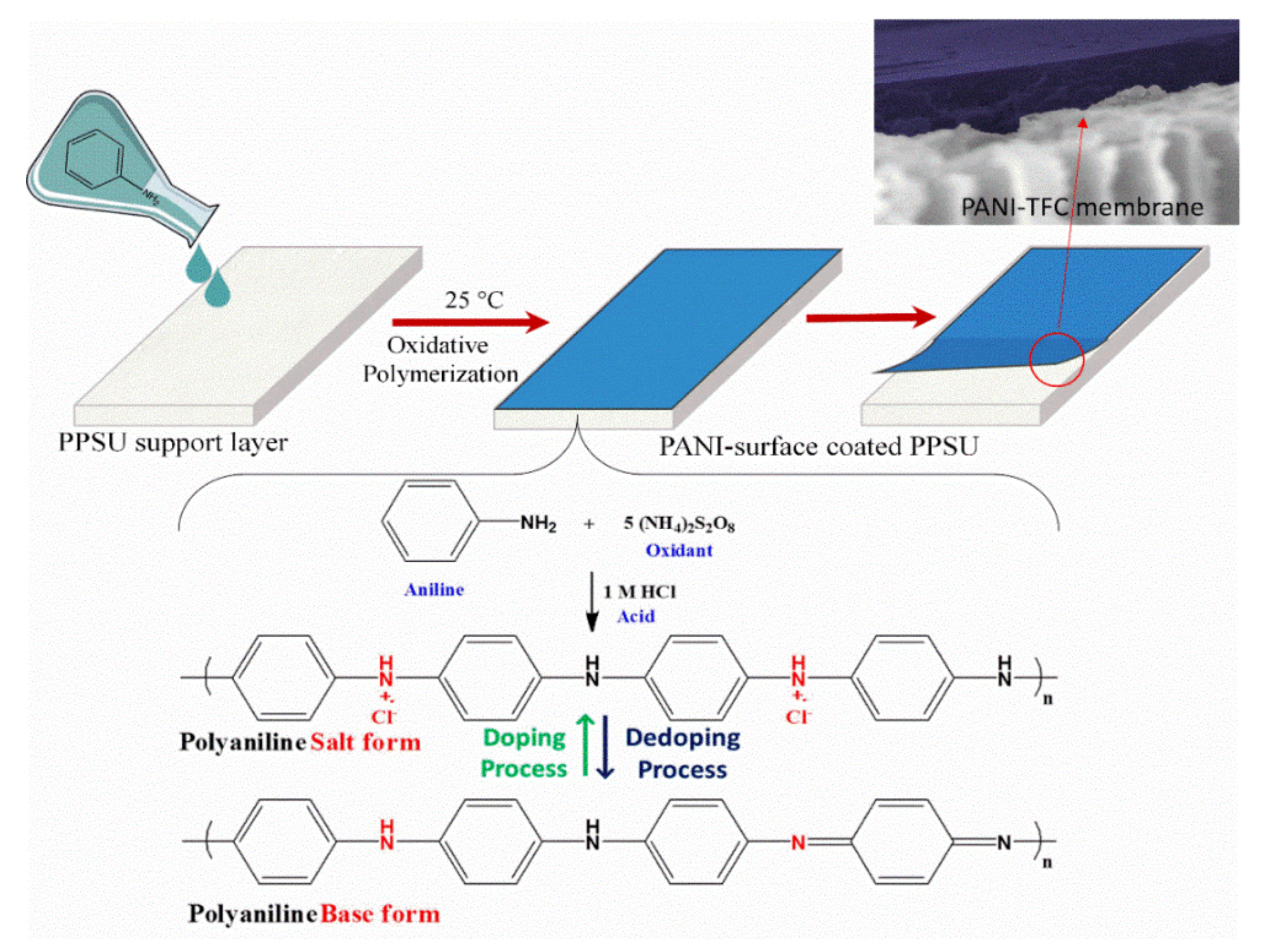Membranes 12 00247 g012 550