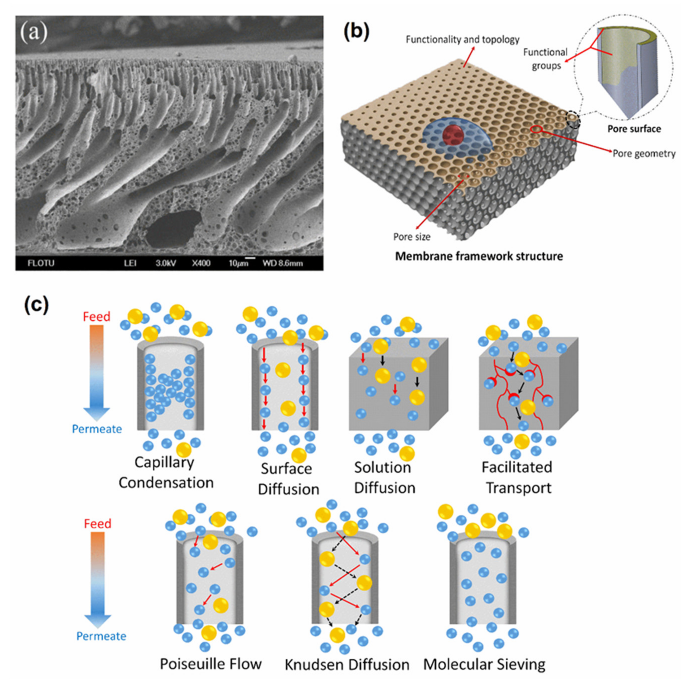 Membranes 12 00247 g013 550