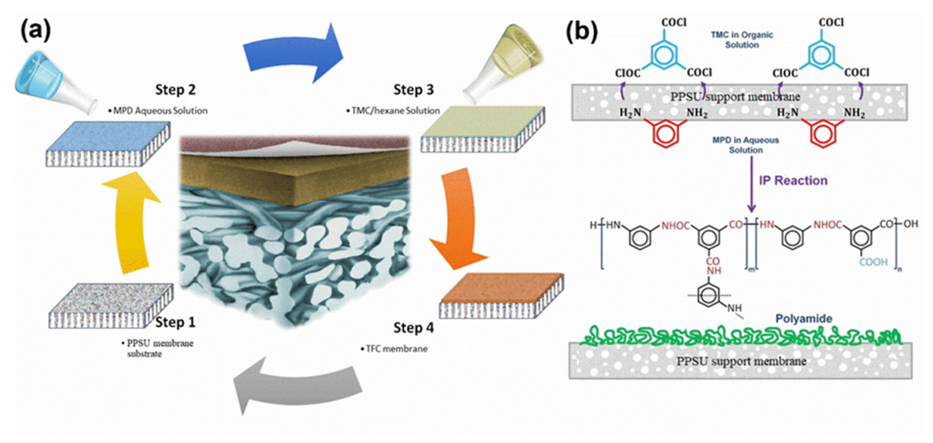 Membranes 12 00247 g014 550