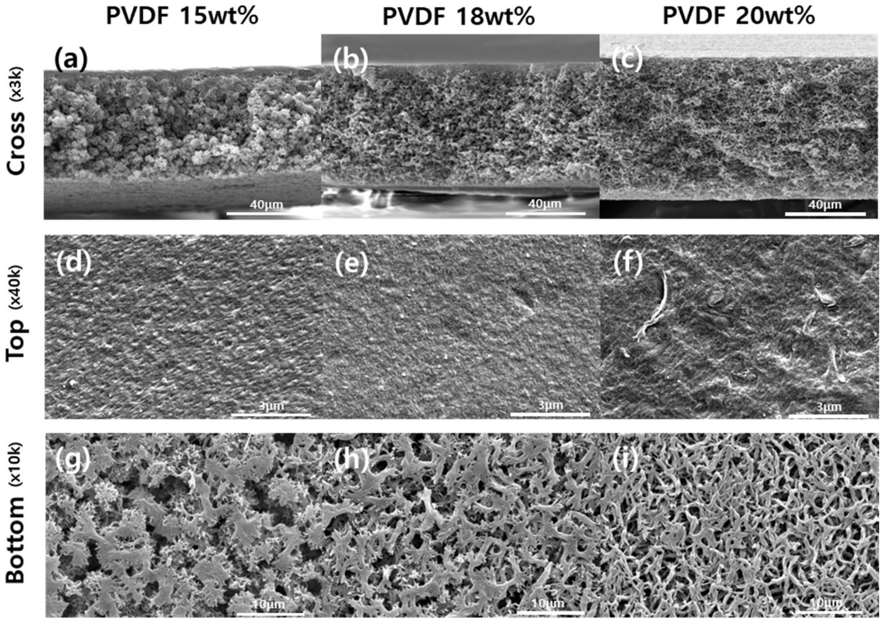 Membranes 12 00250 g003 550