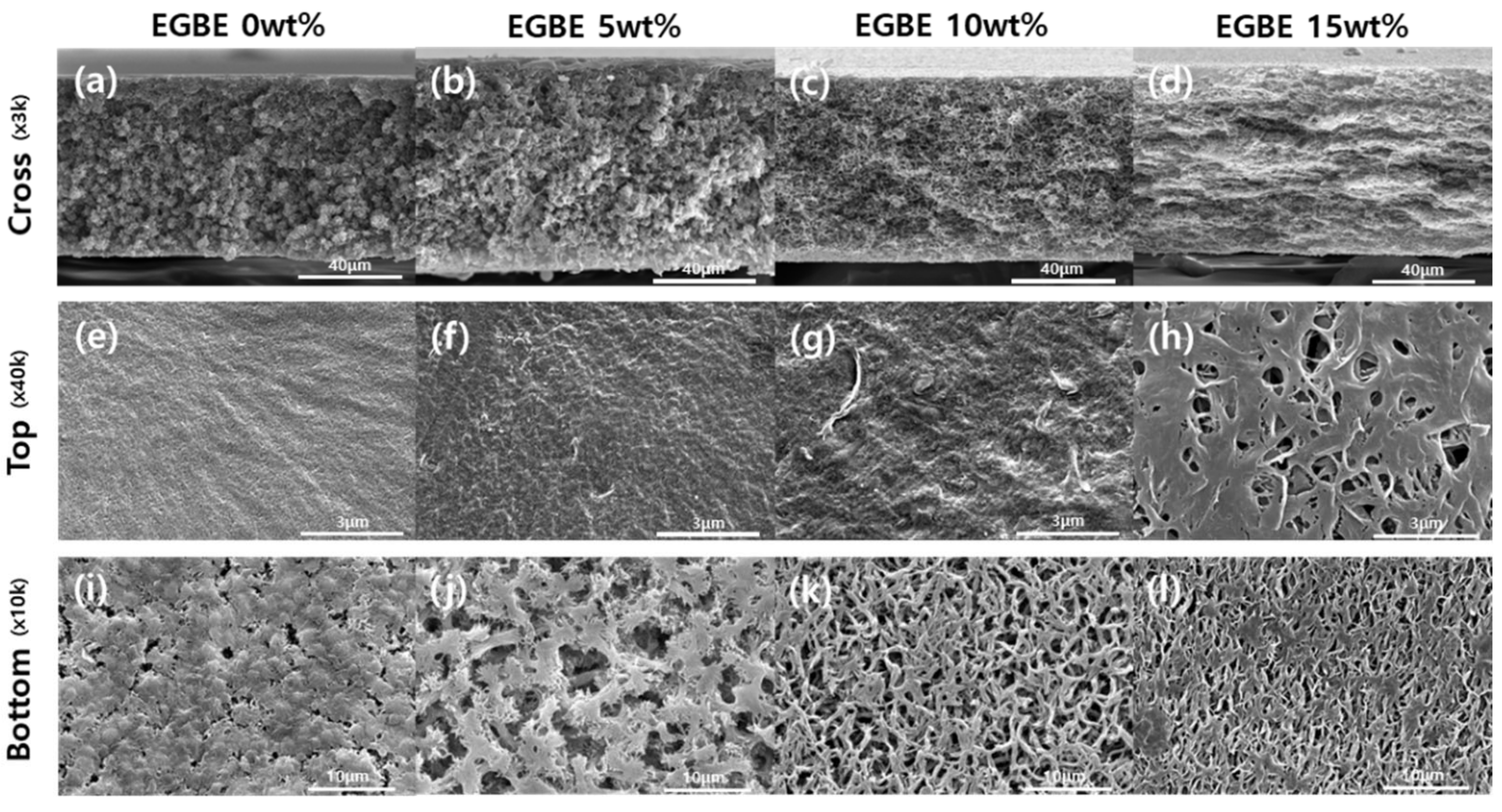 Membranes 12 00250 g004 550