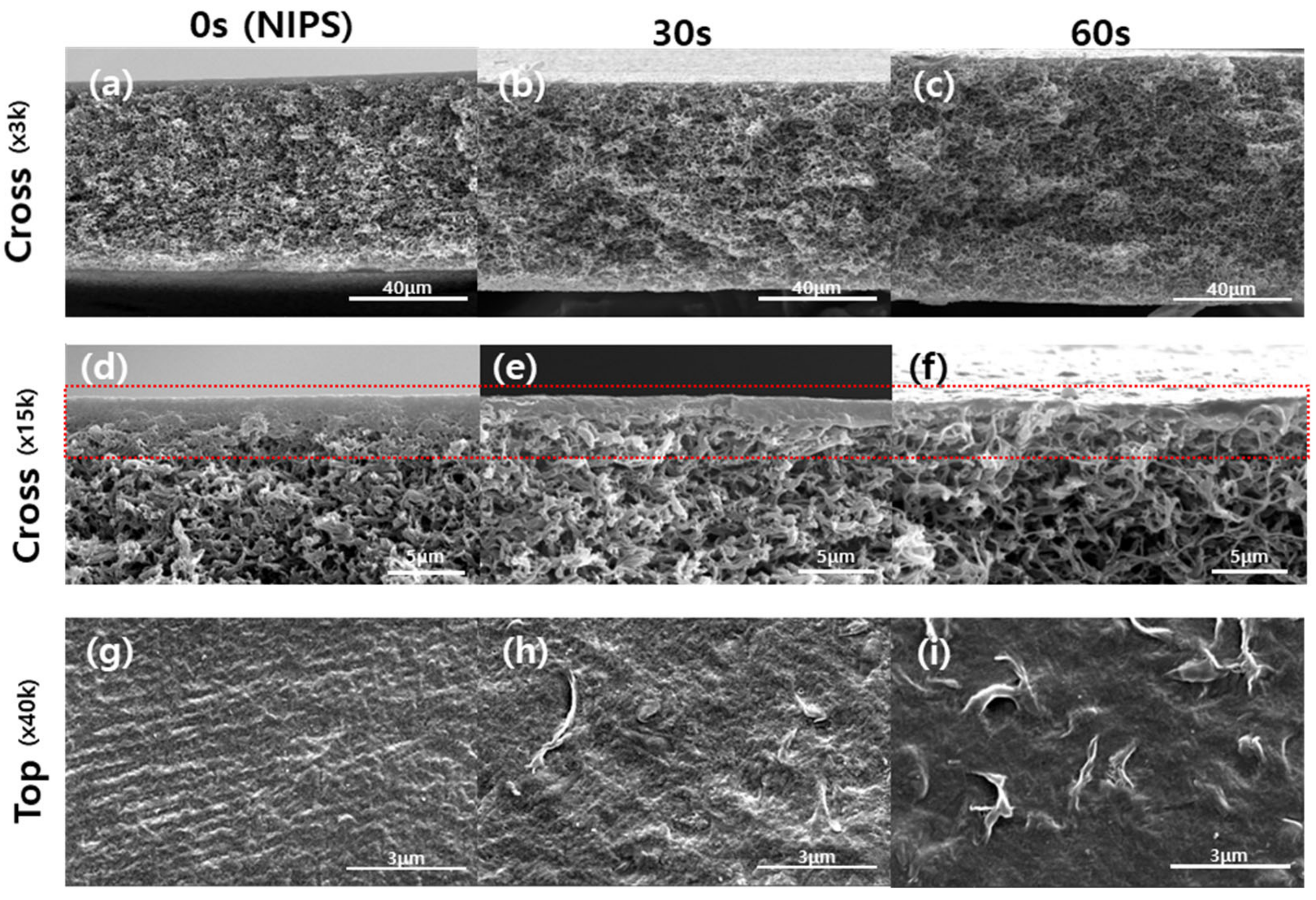Membranes 12 00250 g007 550