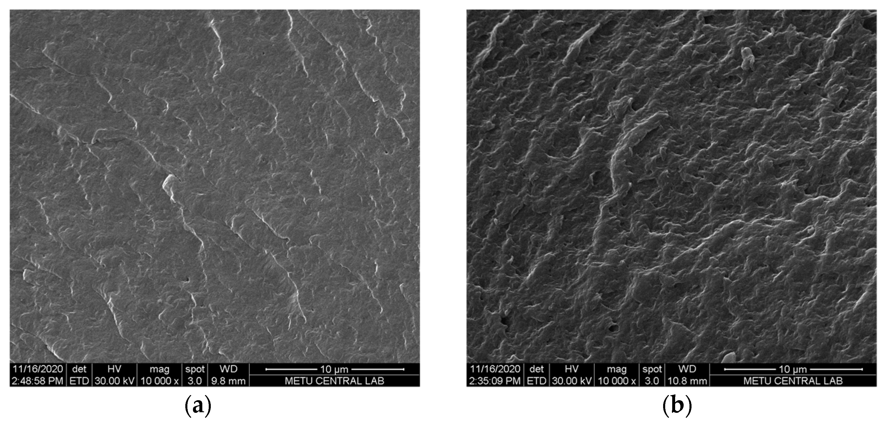 Membranes 12 00257 g004