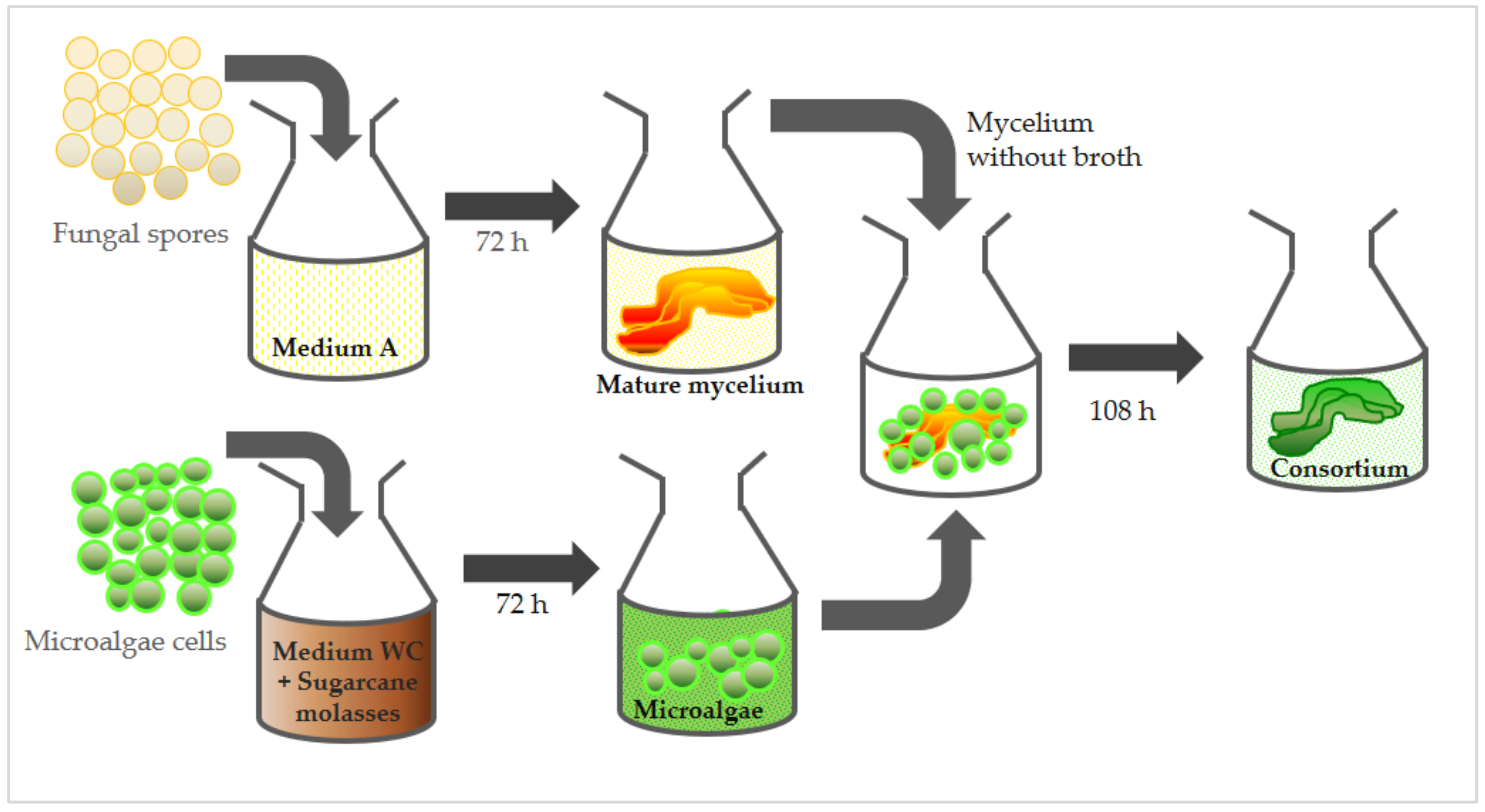 Membranes 12 00258 g001