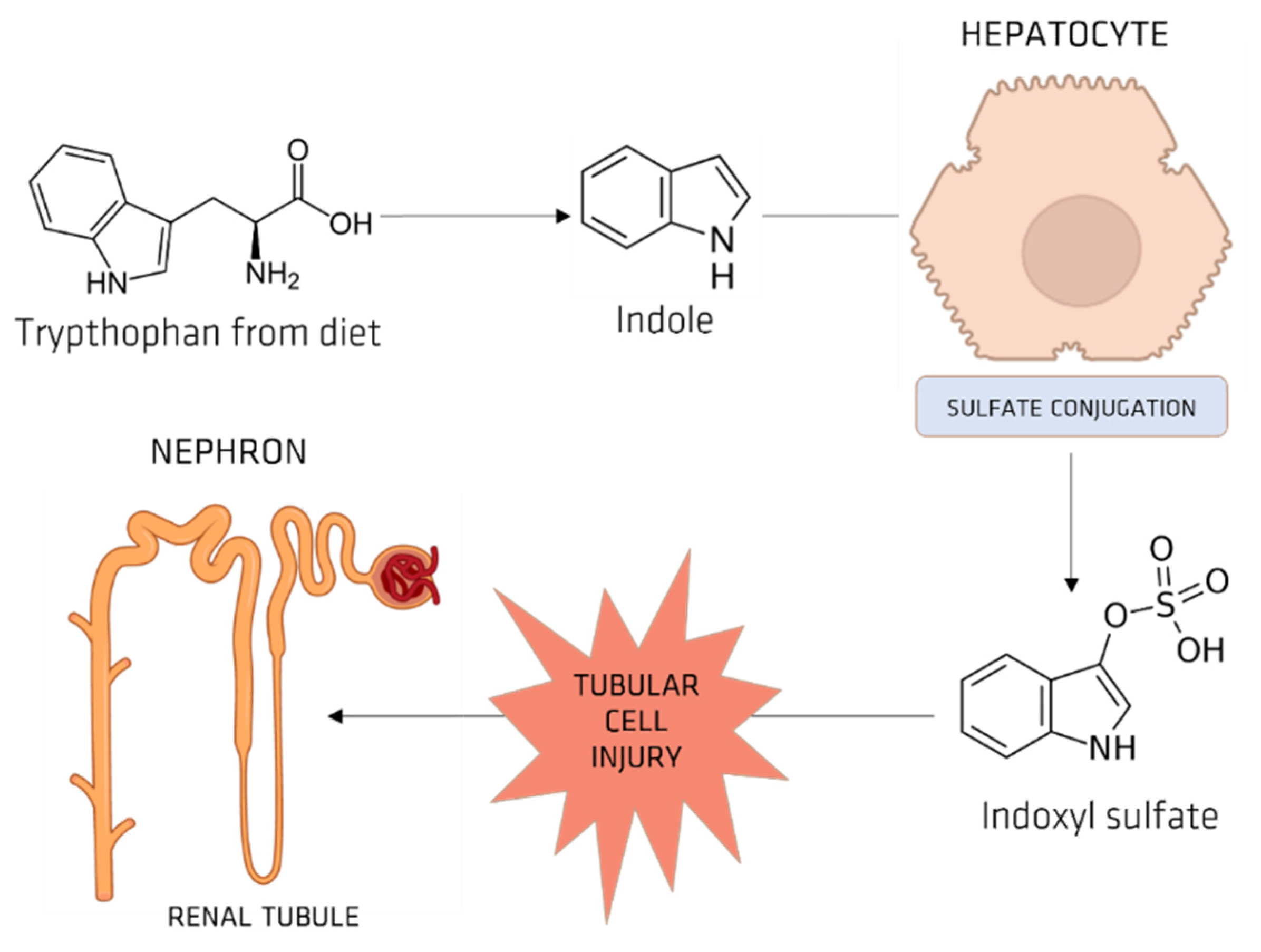 Membranes 12 00261 g007