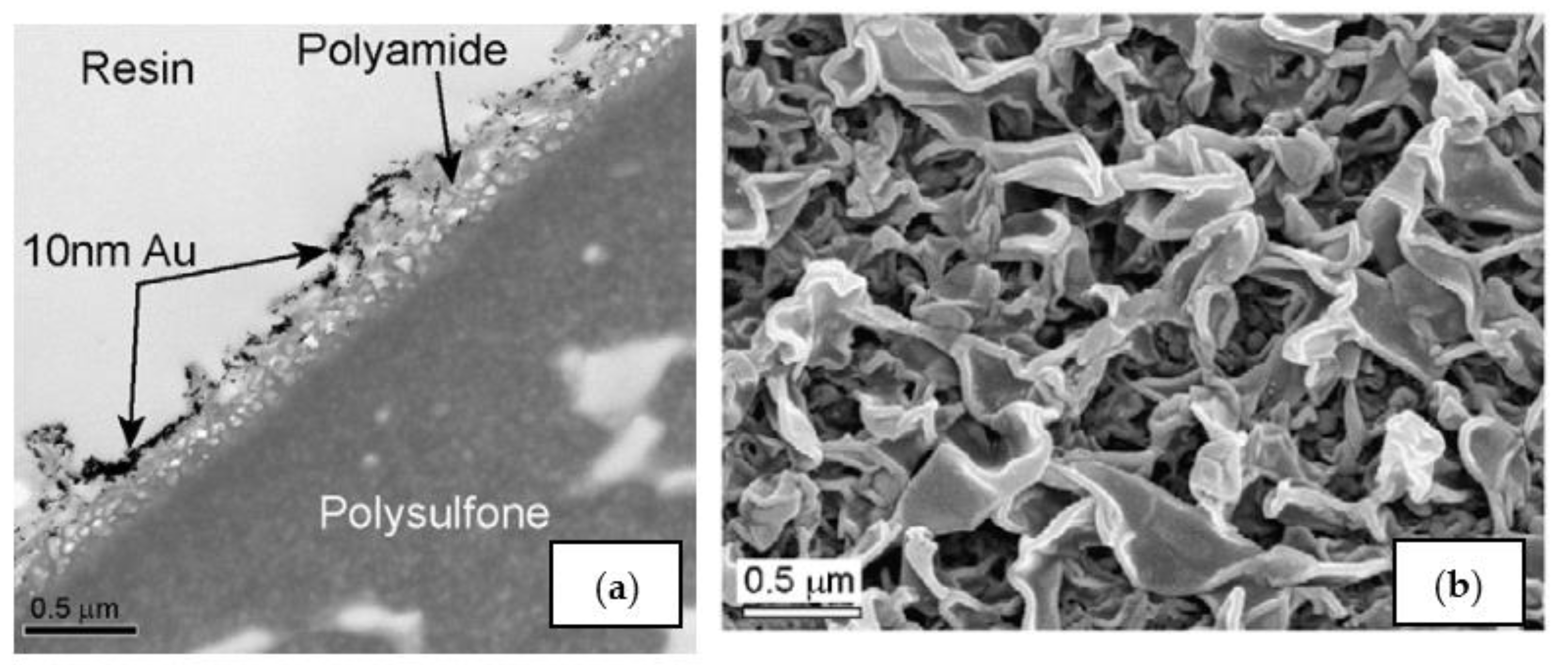 Membranes 12 00267 g001