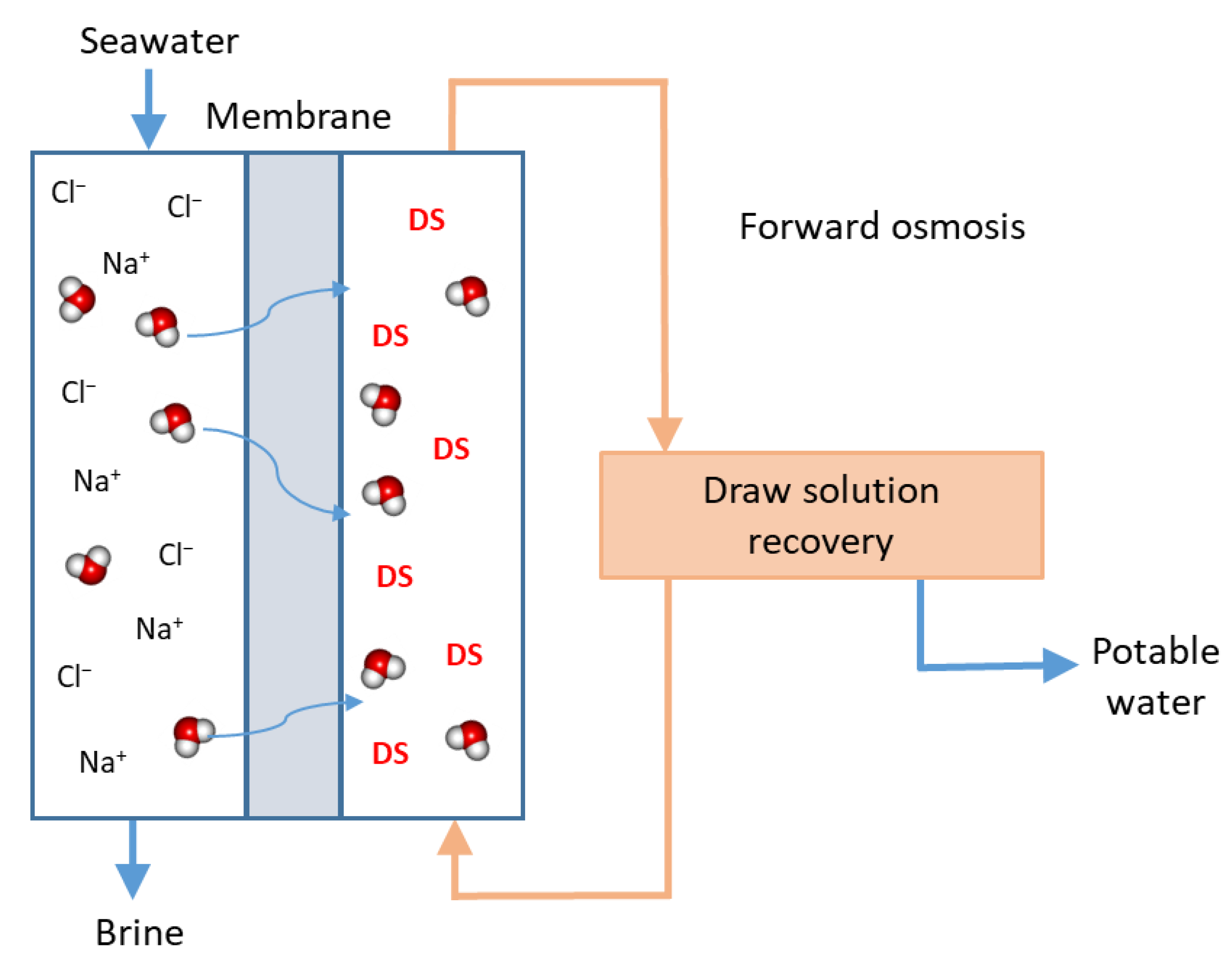 Membranes 12 00267 g007