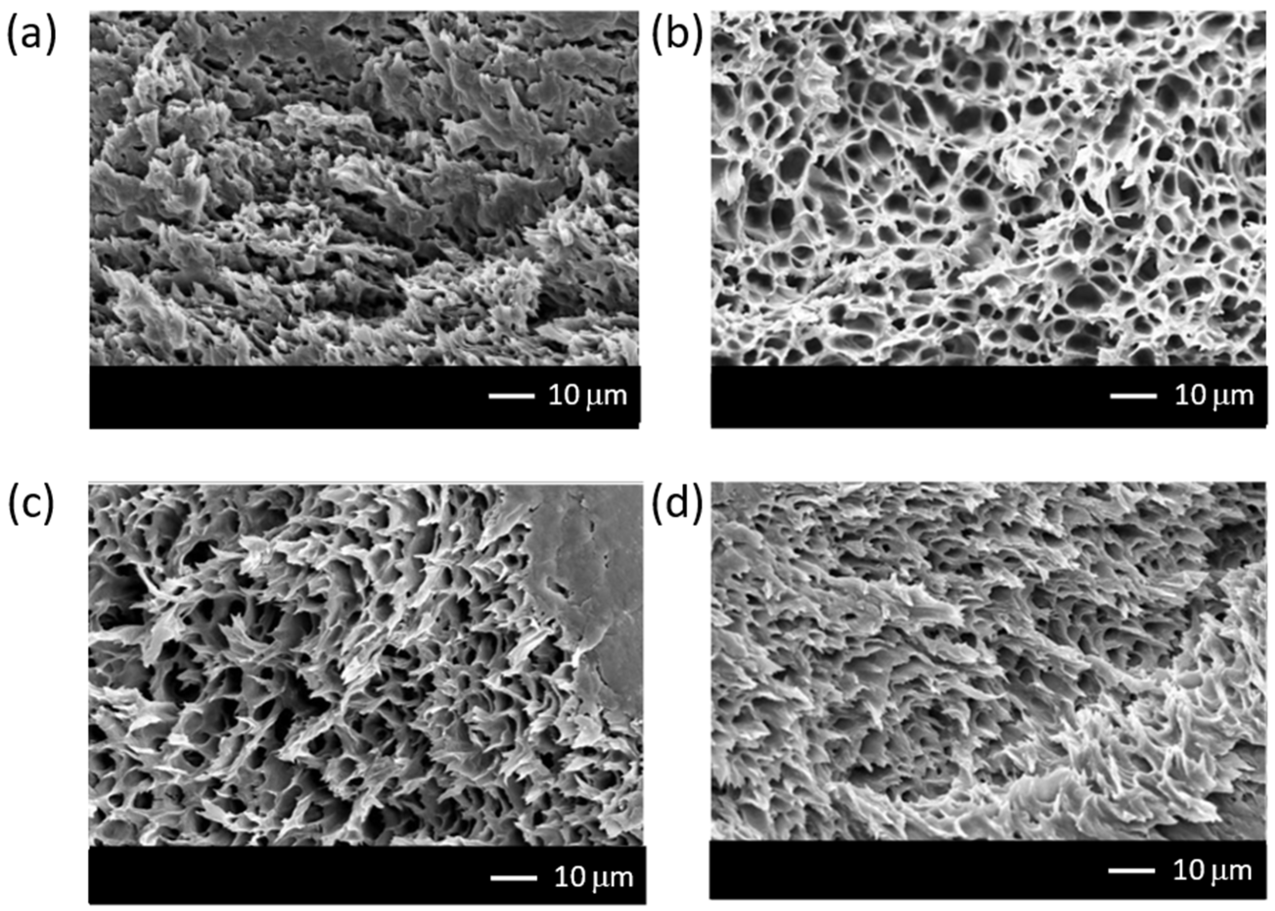 Membranes 12 00268 g001 Membranes 12 00268 g001