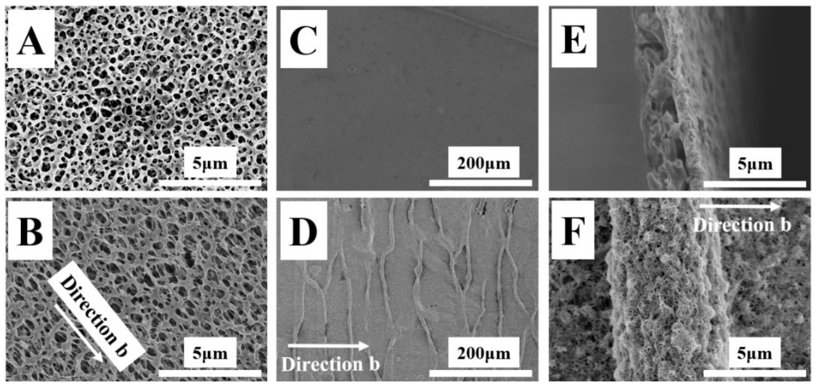 Membranes 12 00278 g001 550