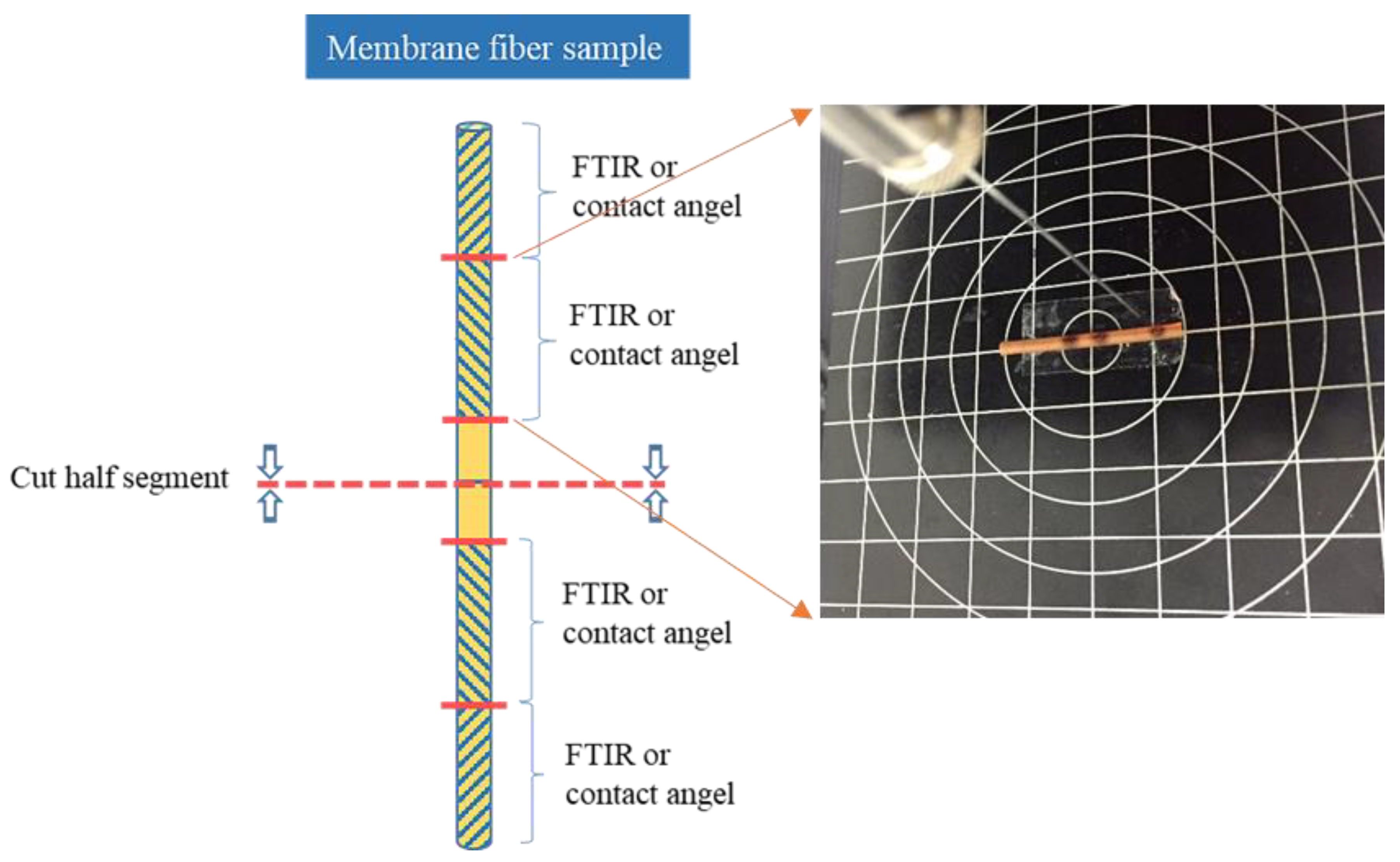 Membranes 12 00280 g0a5 550