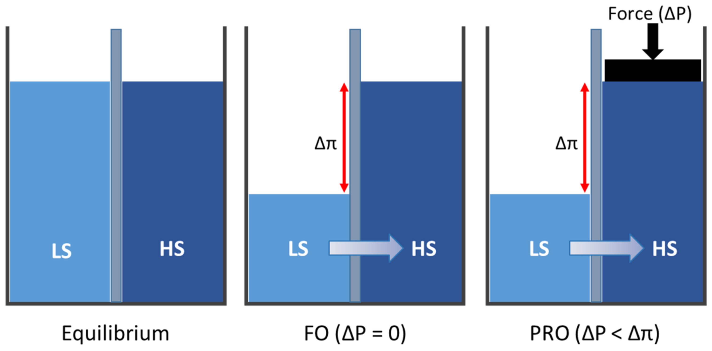 Membranes 12 00282 g001