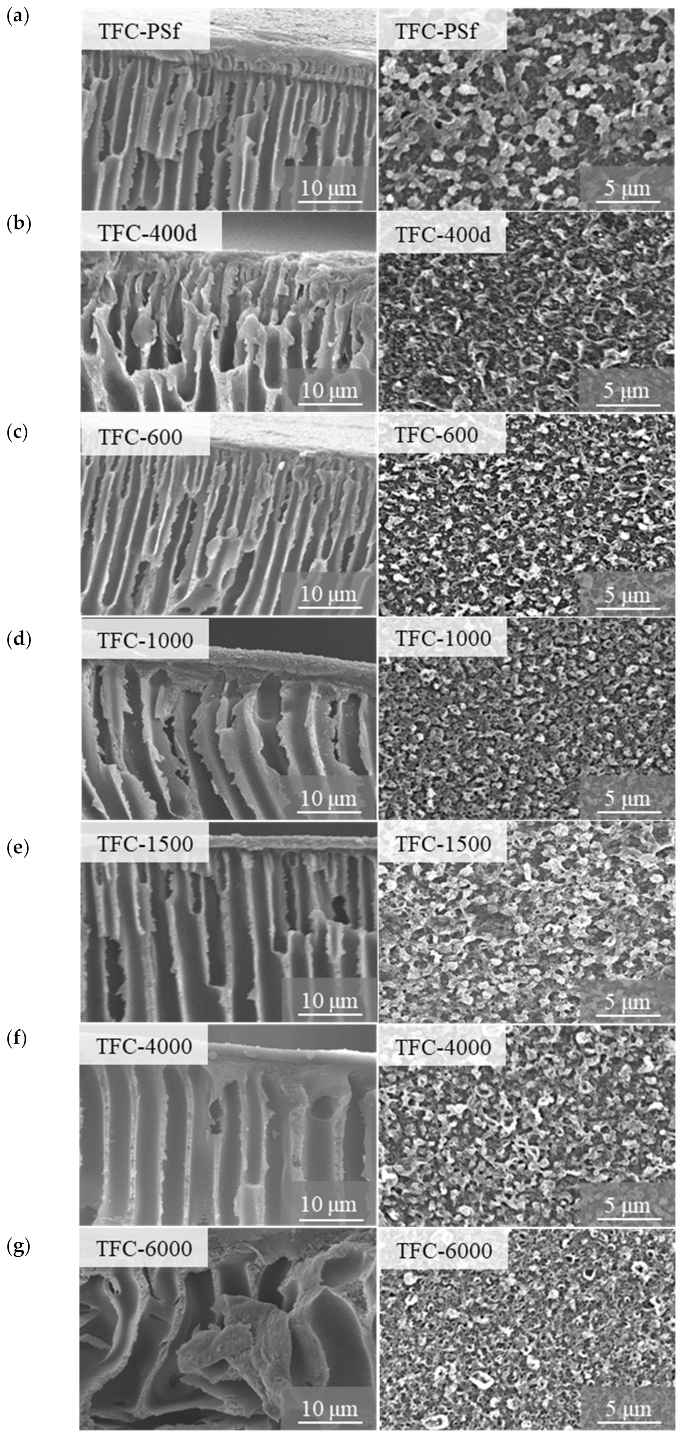 Membranes 12 00282 g003