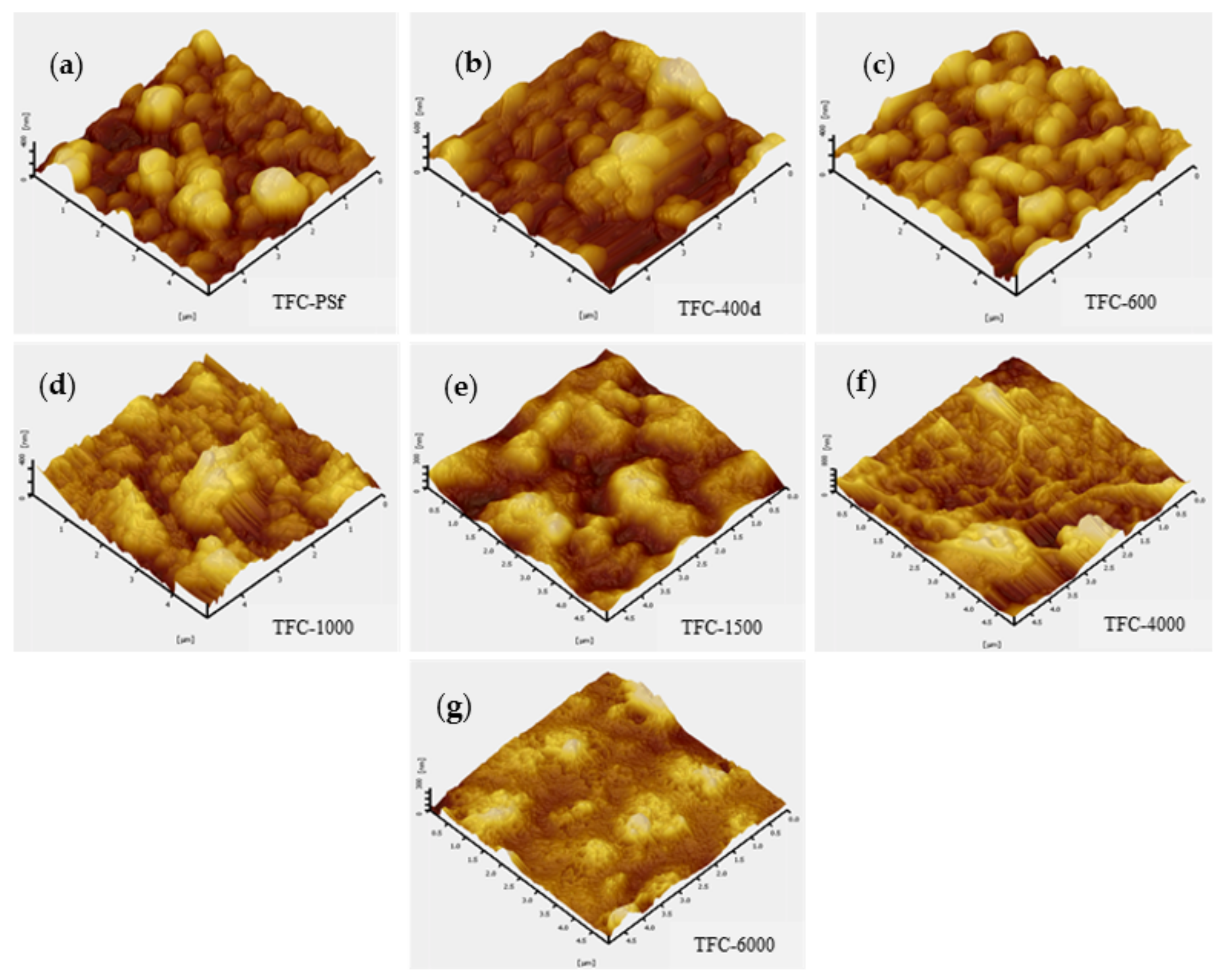 Membranes 12 00282 g005