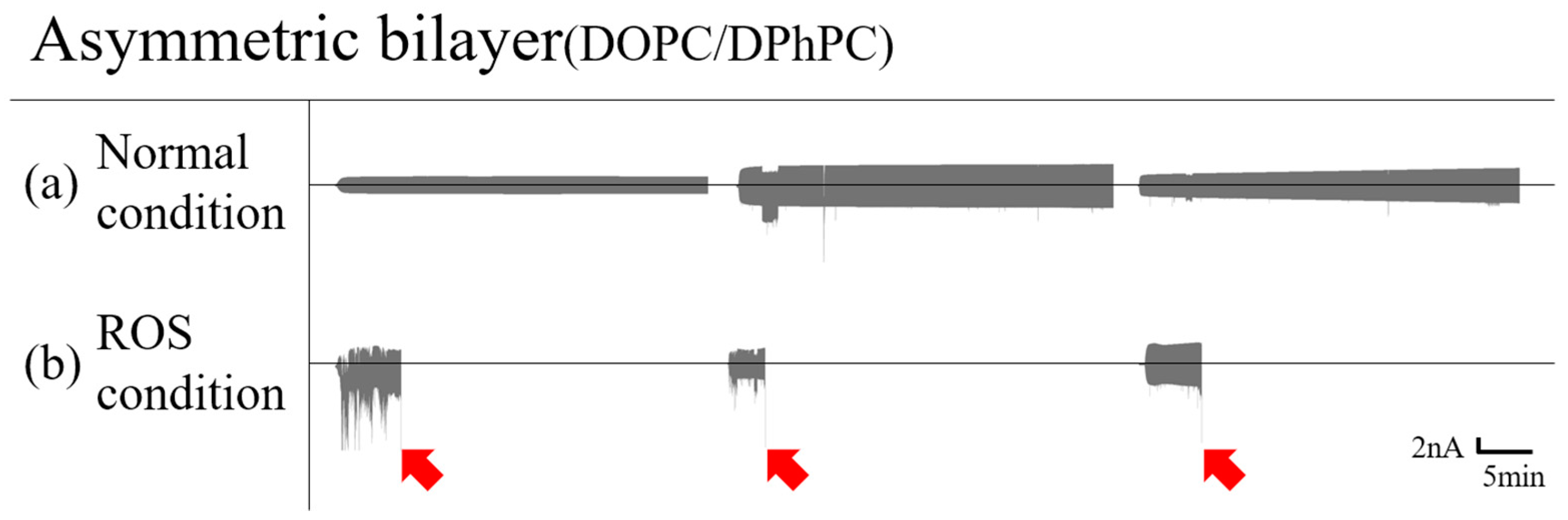 Membranes 12 00286 g002 550