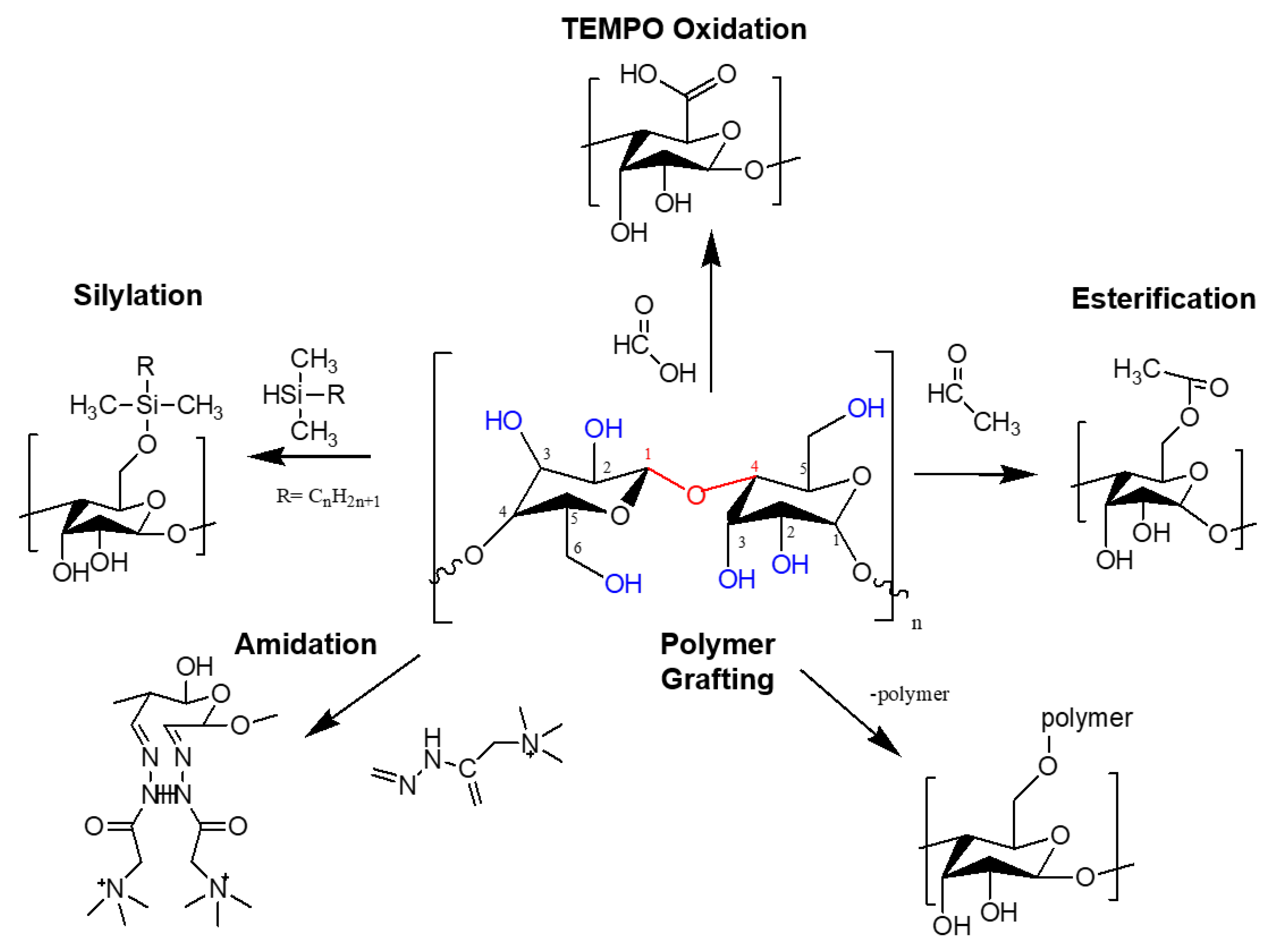Membranes 12 00287 g006