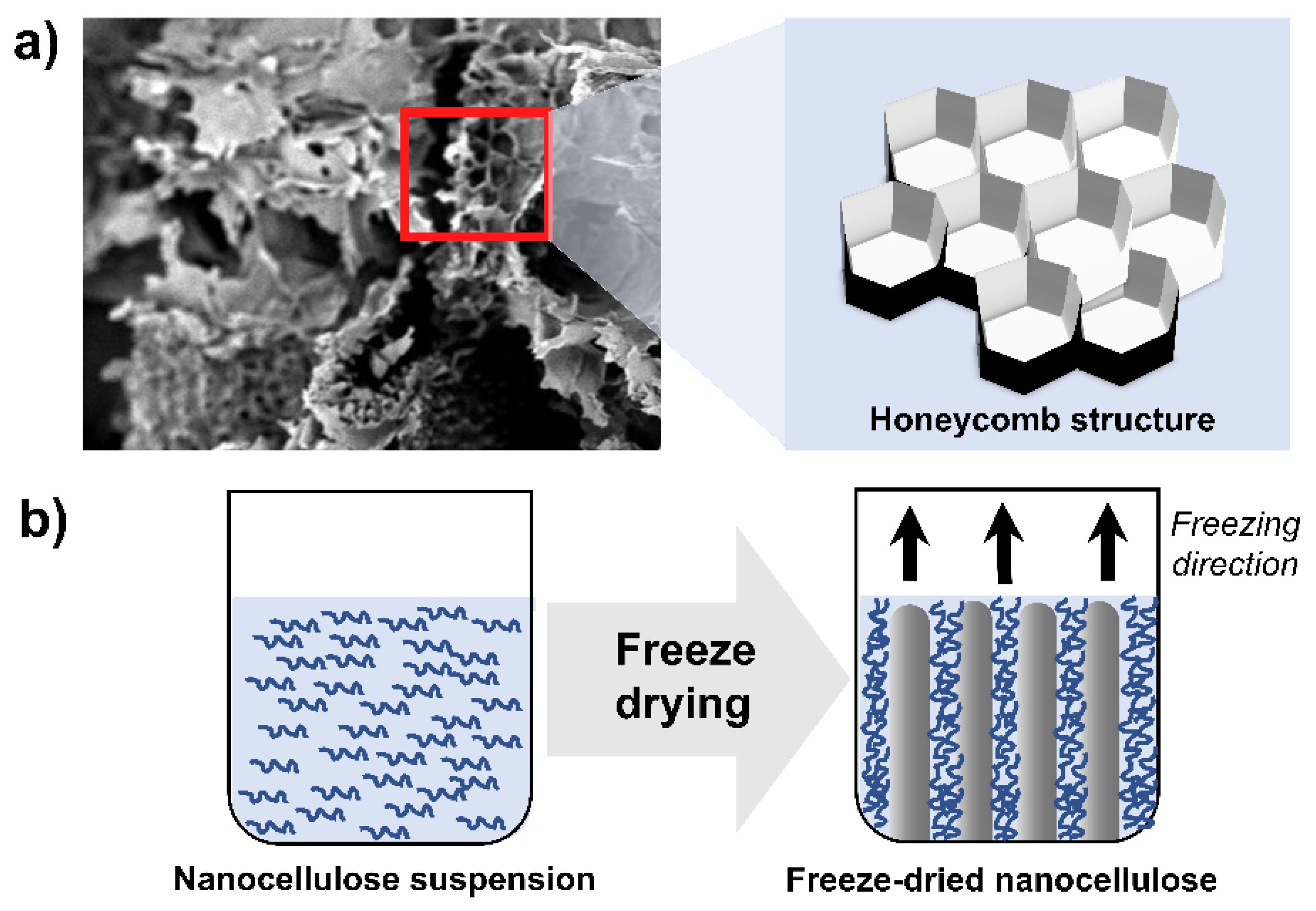 Membranes 12 00287 g011