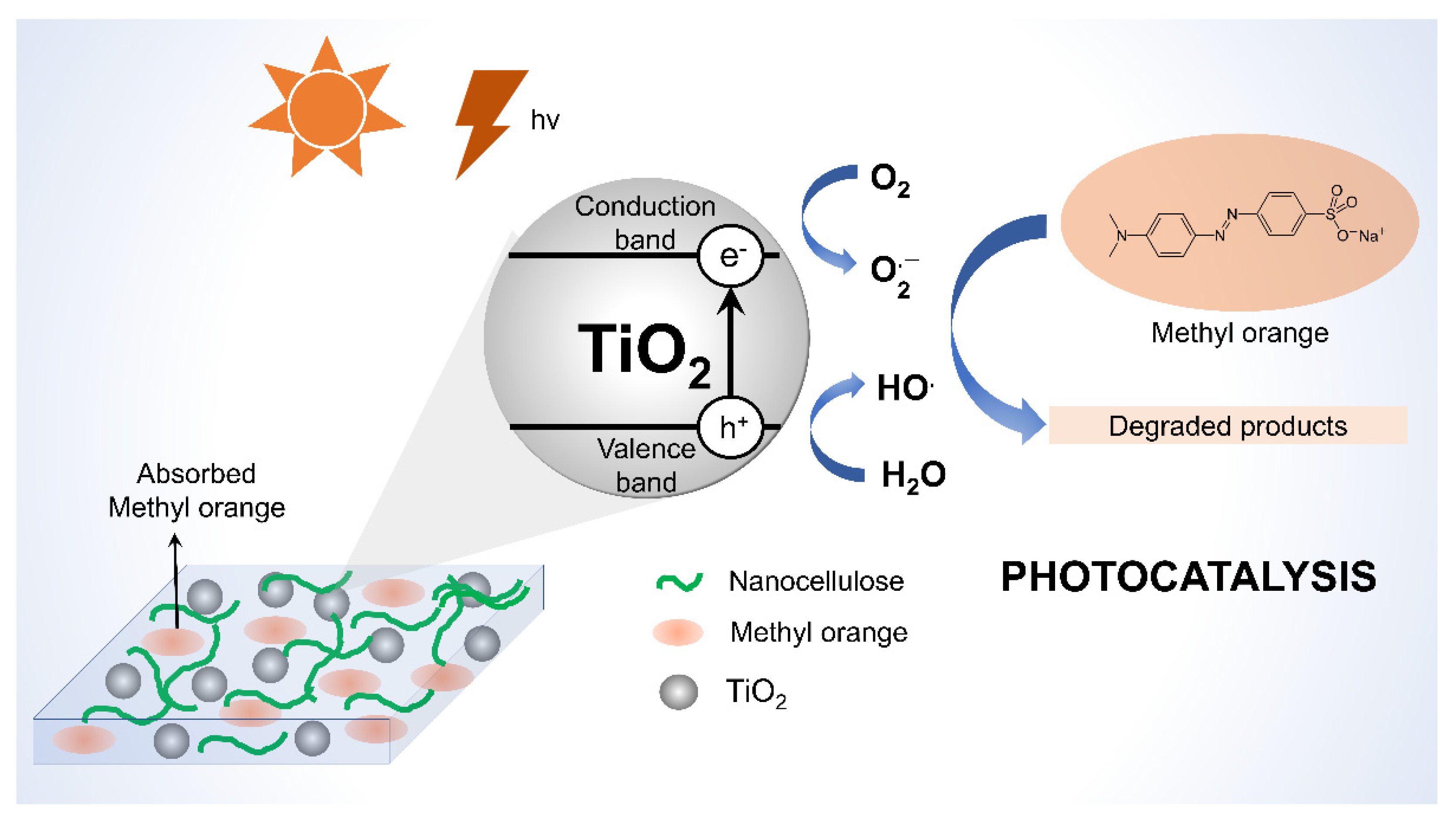 Membranes 12 00287 g013
