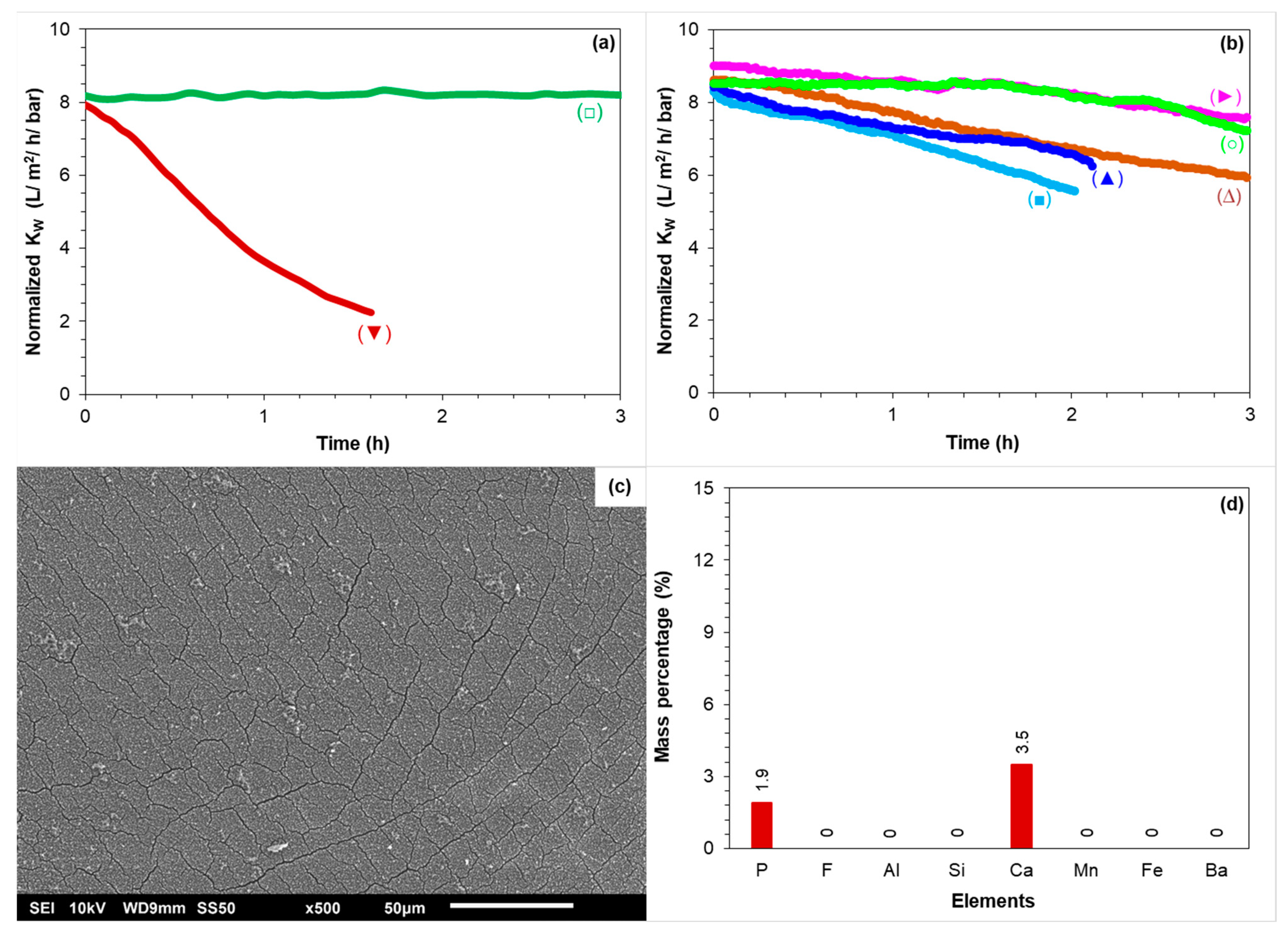 Membranes 12 00290 g010