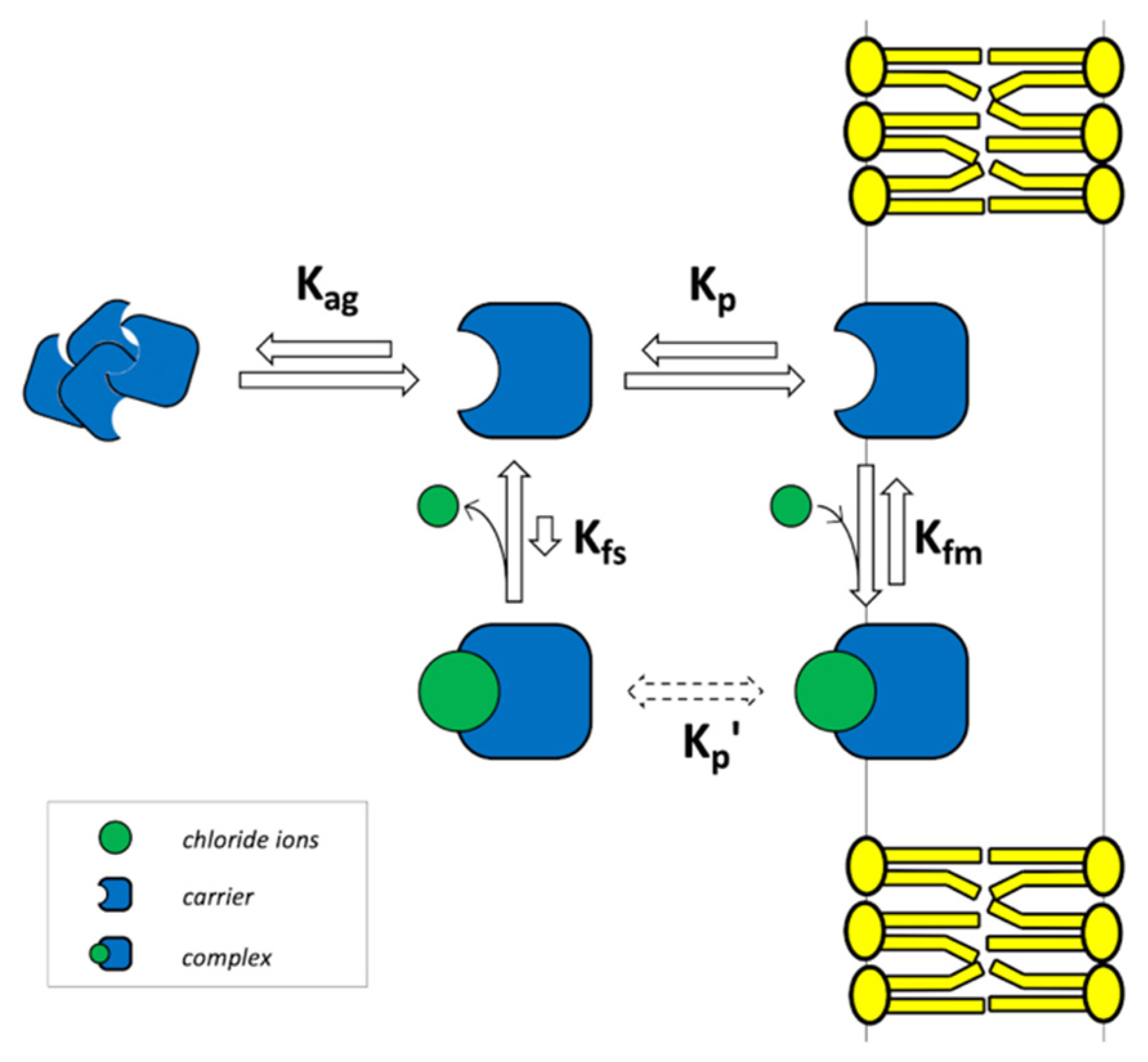 Membranes 12 00292 g002