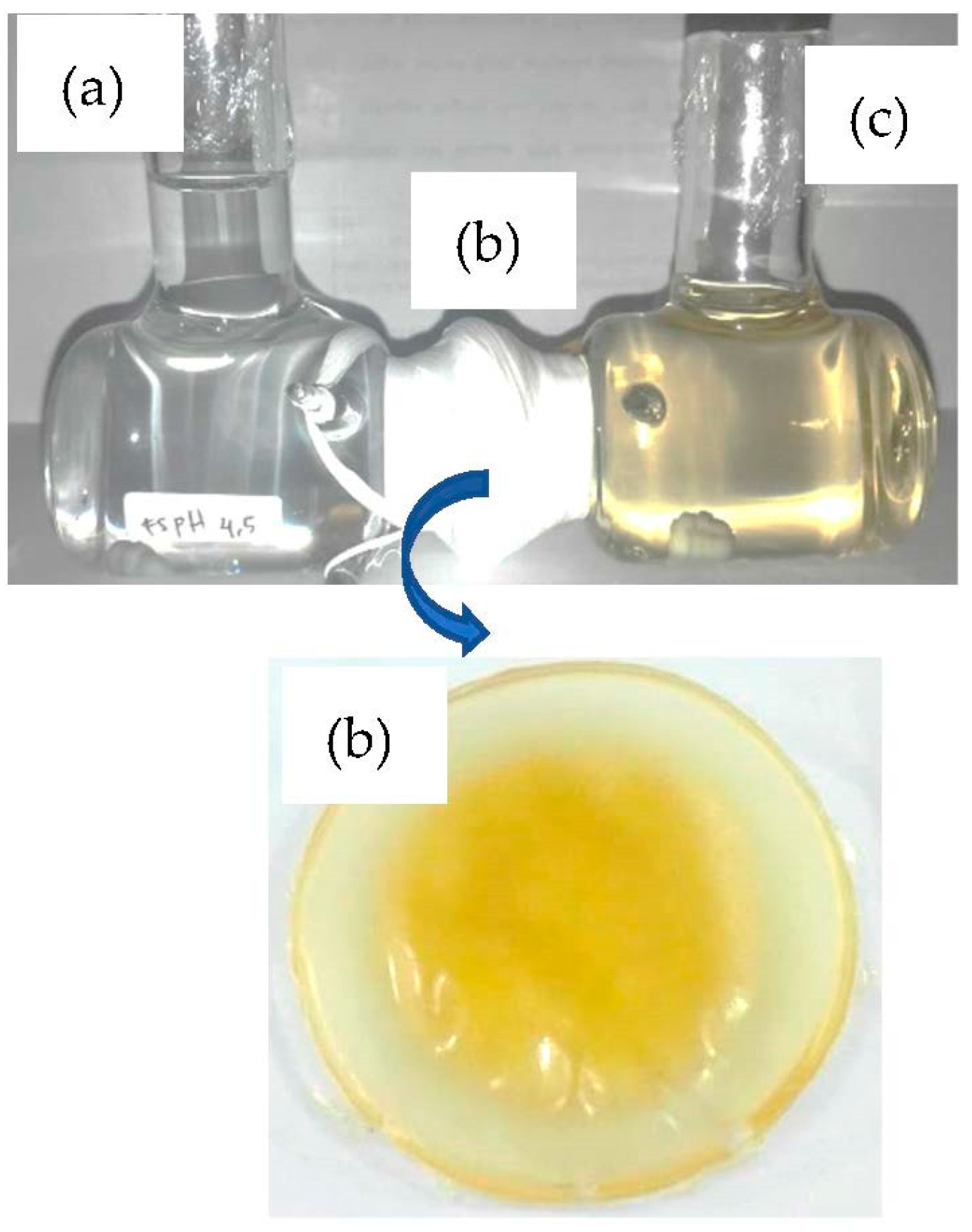 Membranes 12 00295 g001
