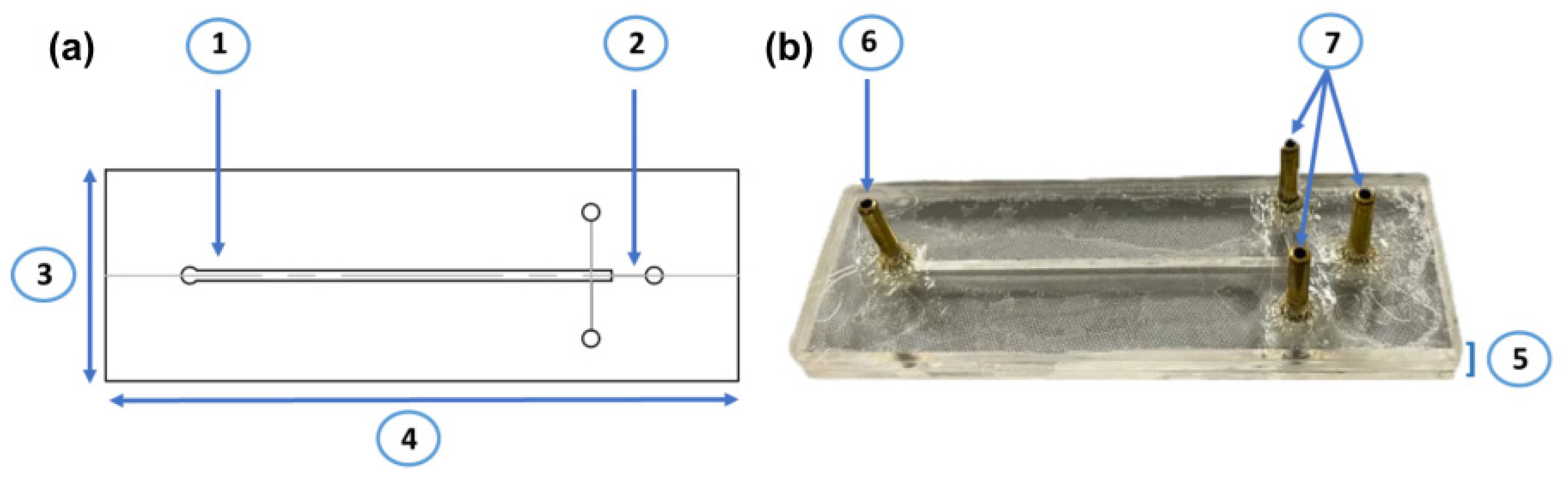Membranes 12 00298 g001