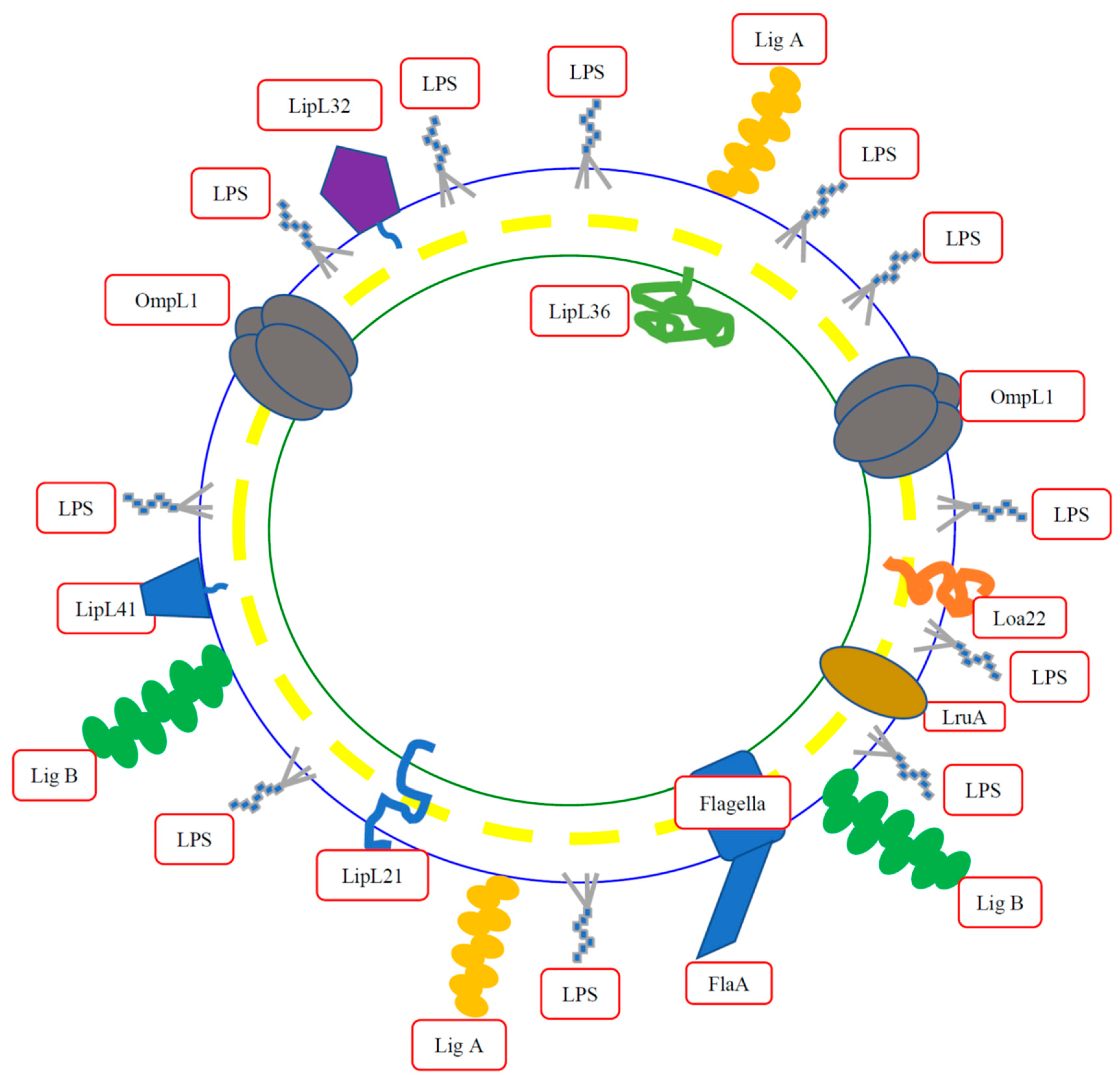Membranes 12 00300 g001