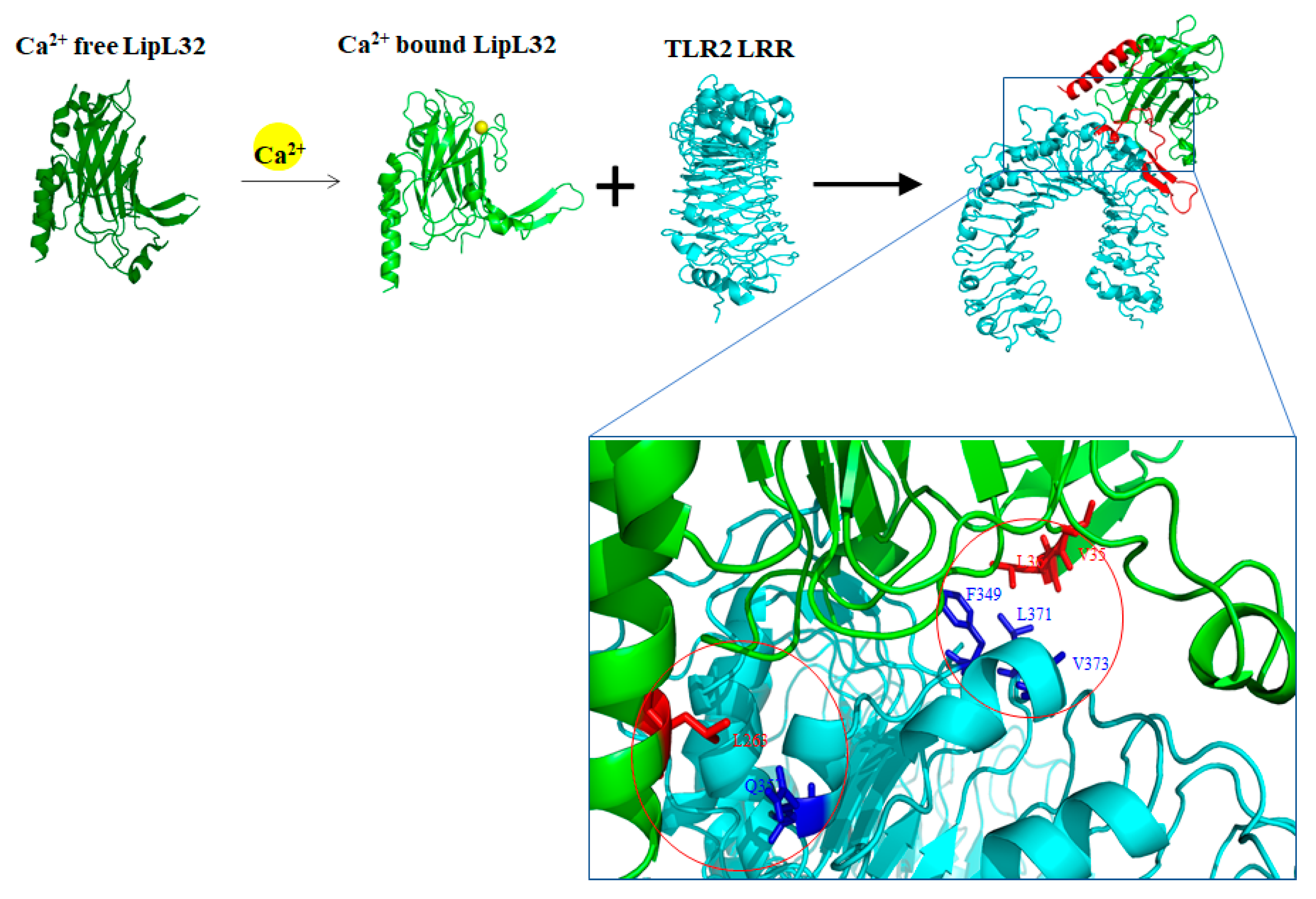 Membranes 12 00300 g002