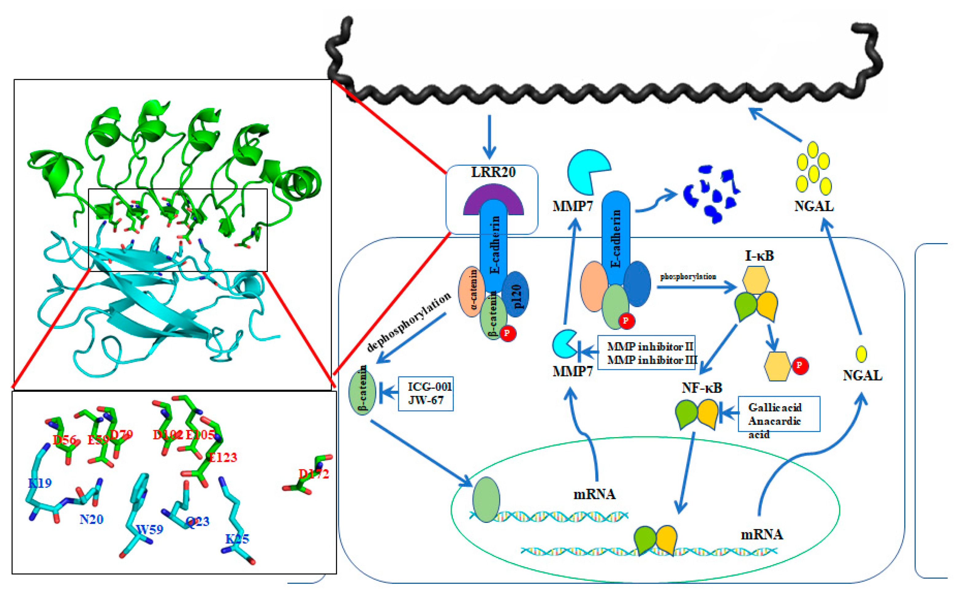 Membranes 12 00300 g003
