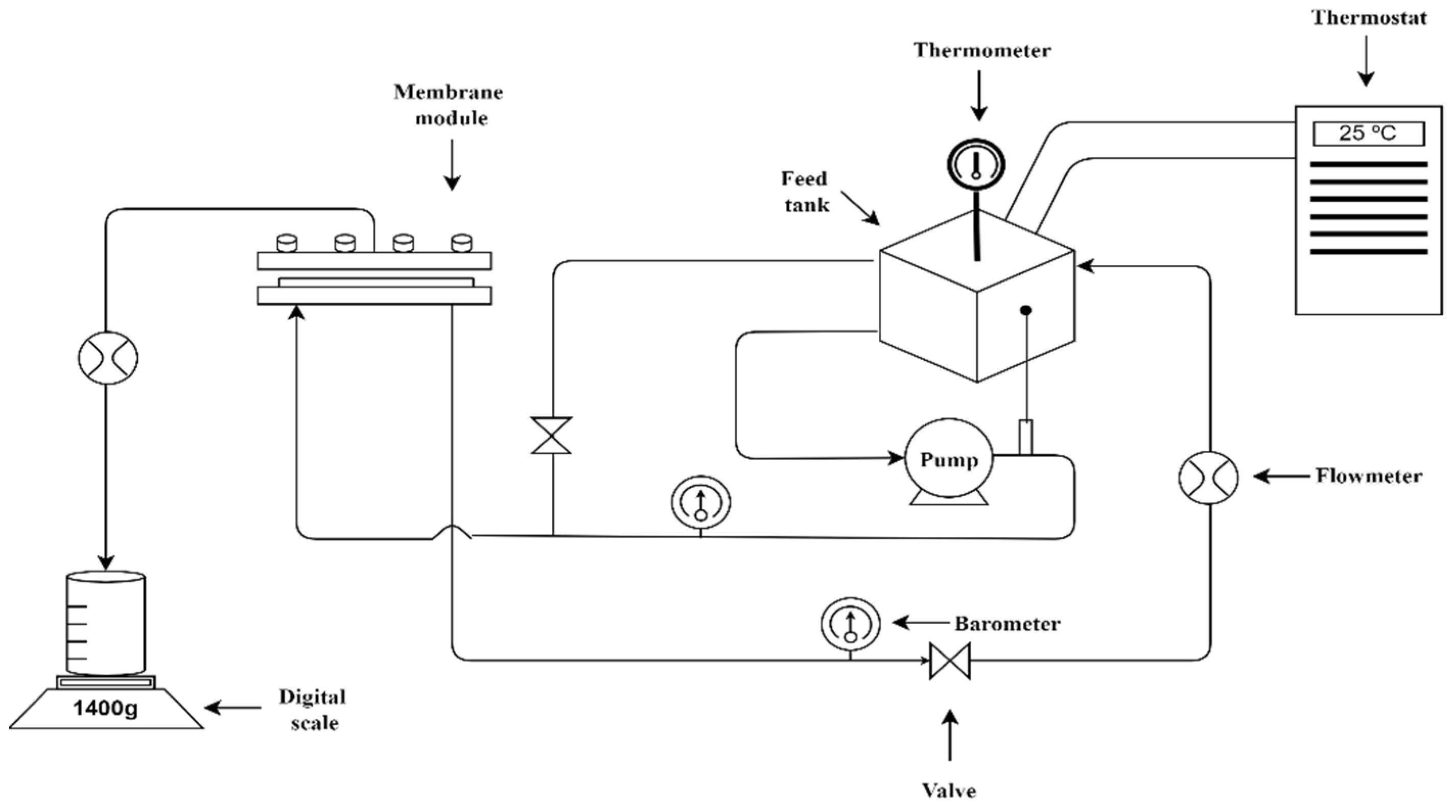 Membranes 12 00302 g001