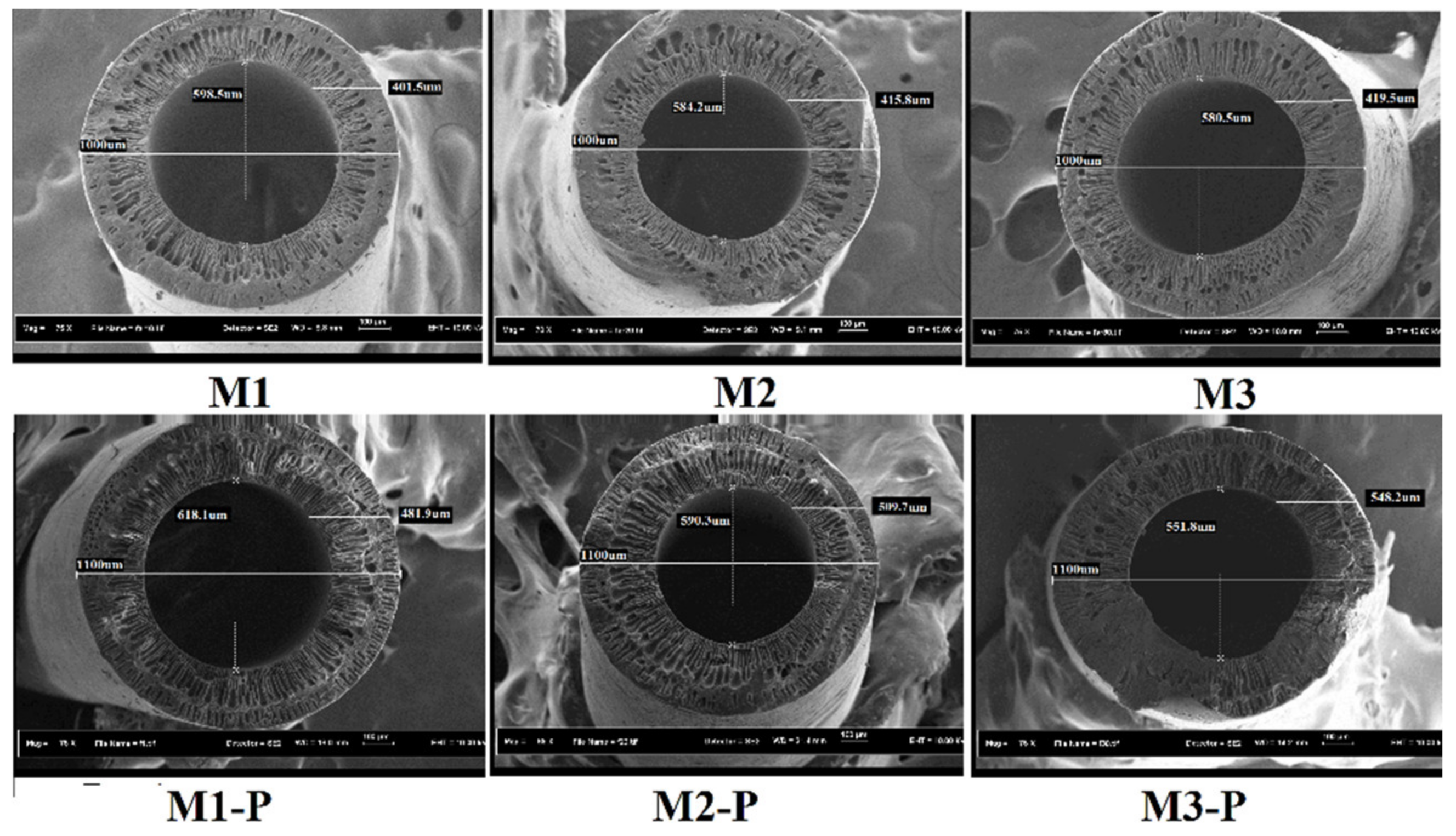 Membranes 12 00305 g003 550
