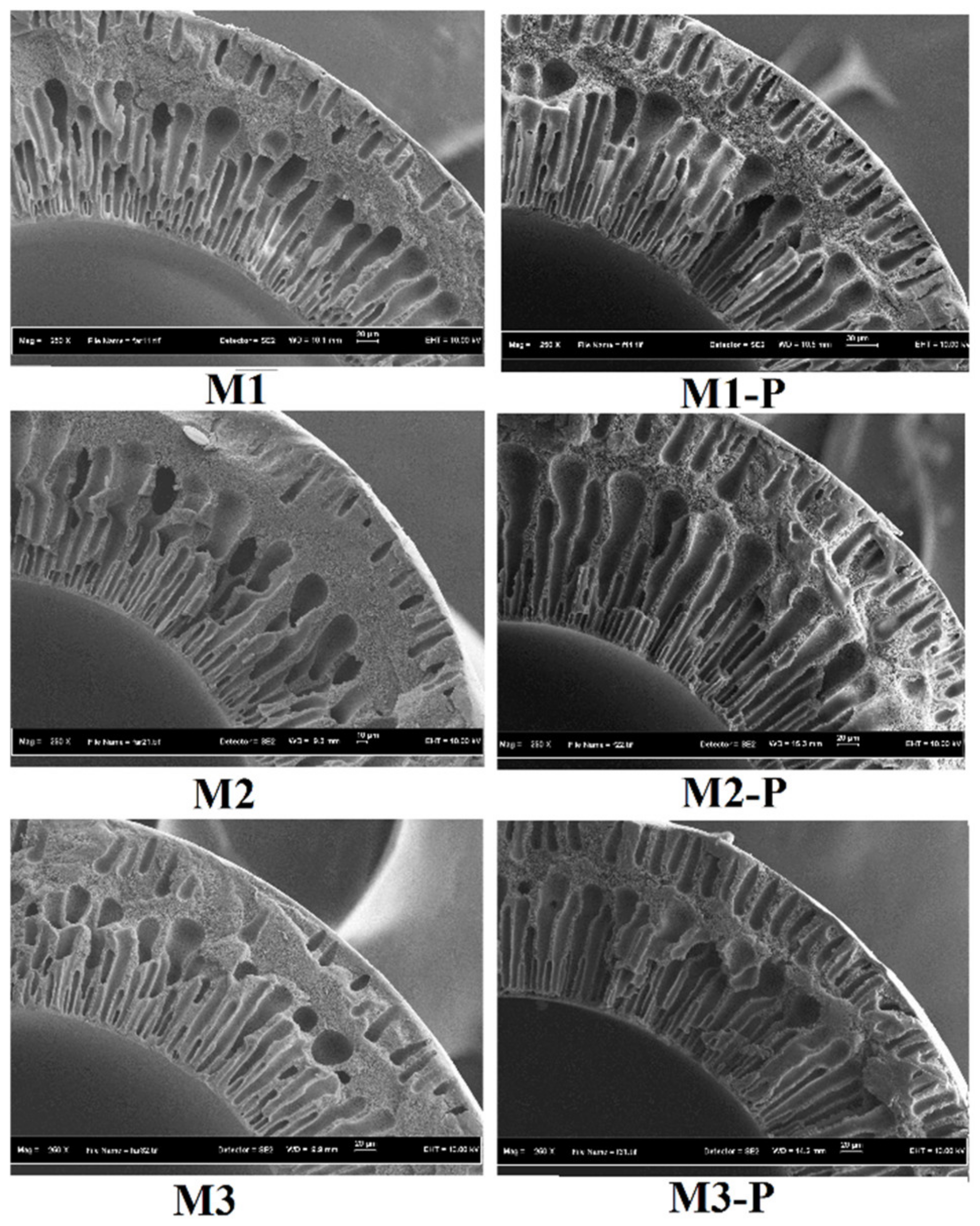 Membranes 12 00305 g004 550