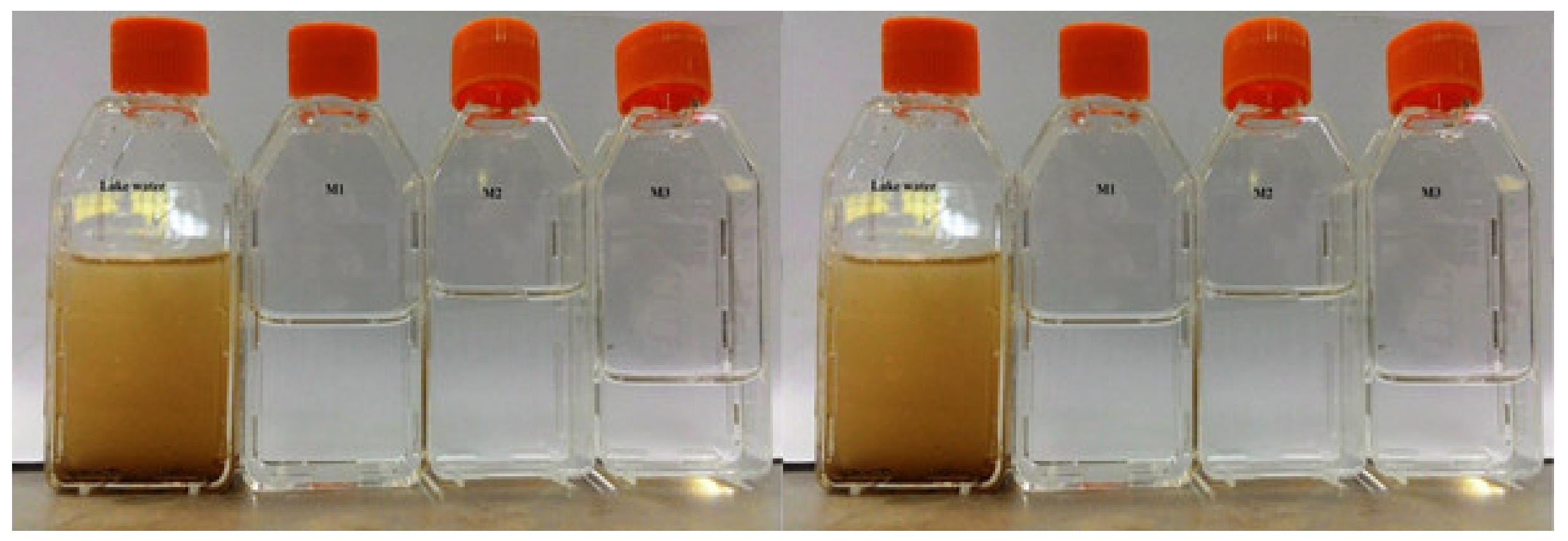 Membranes 12 00305 g008 550