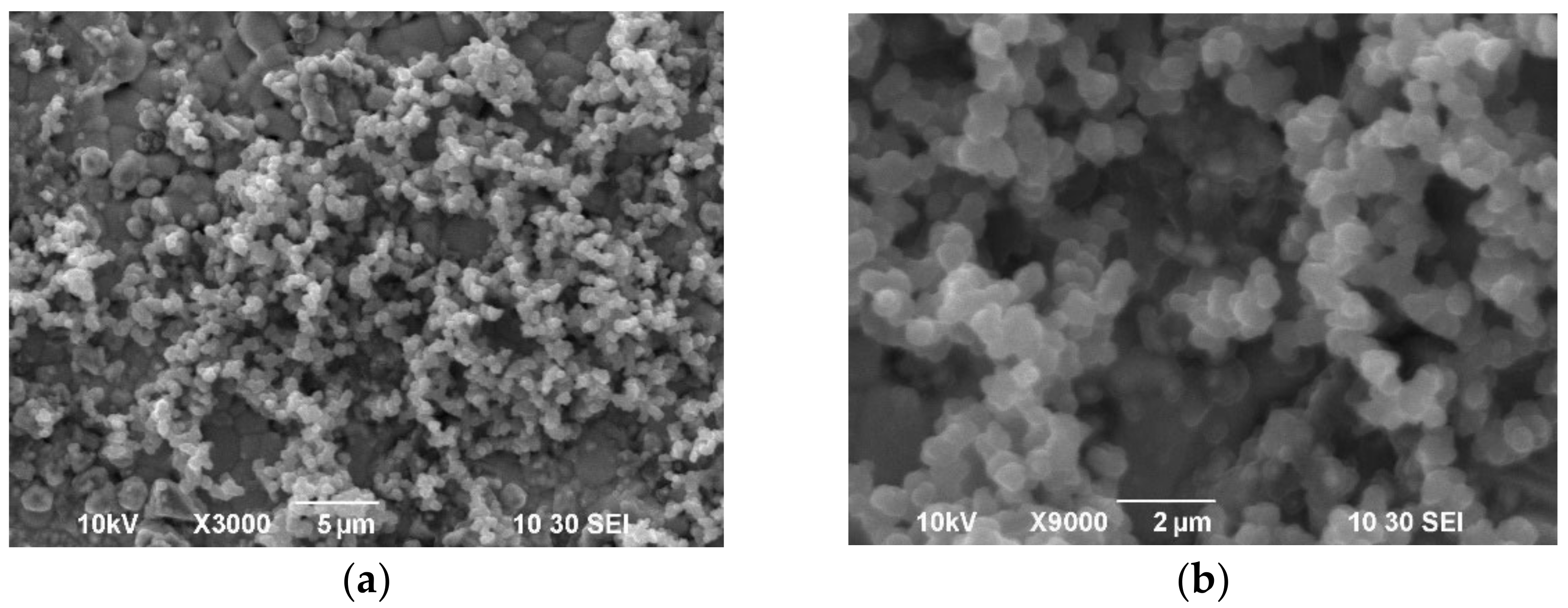 Membranes 12 00308 g007