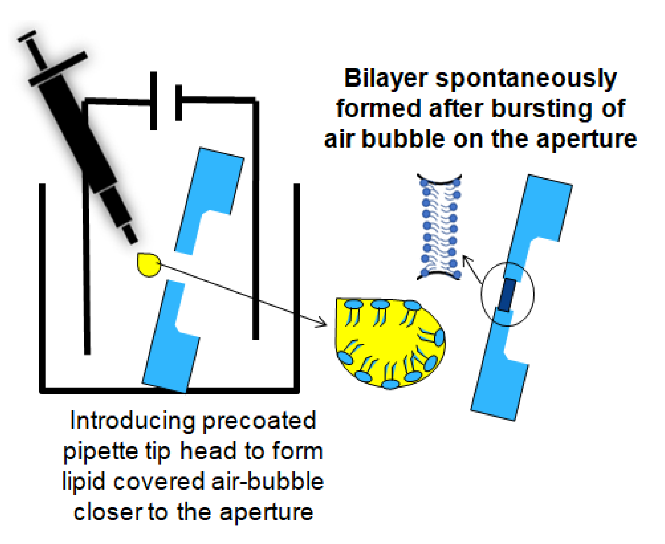 Membranes 12 00309 g002 550