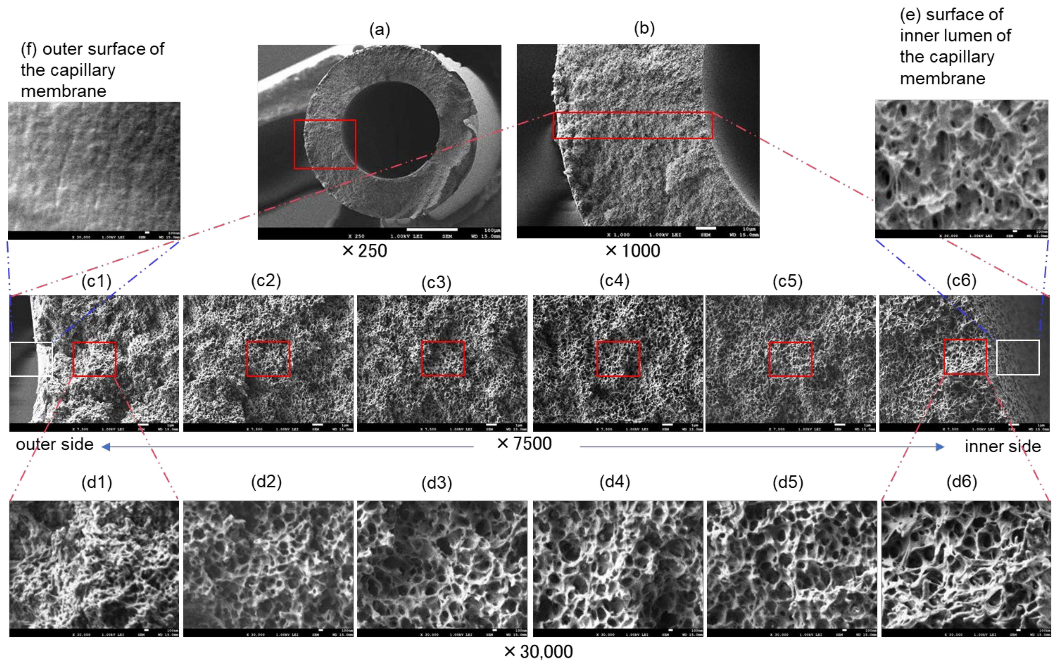 Membranes 12 00314 g003