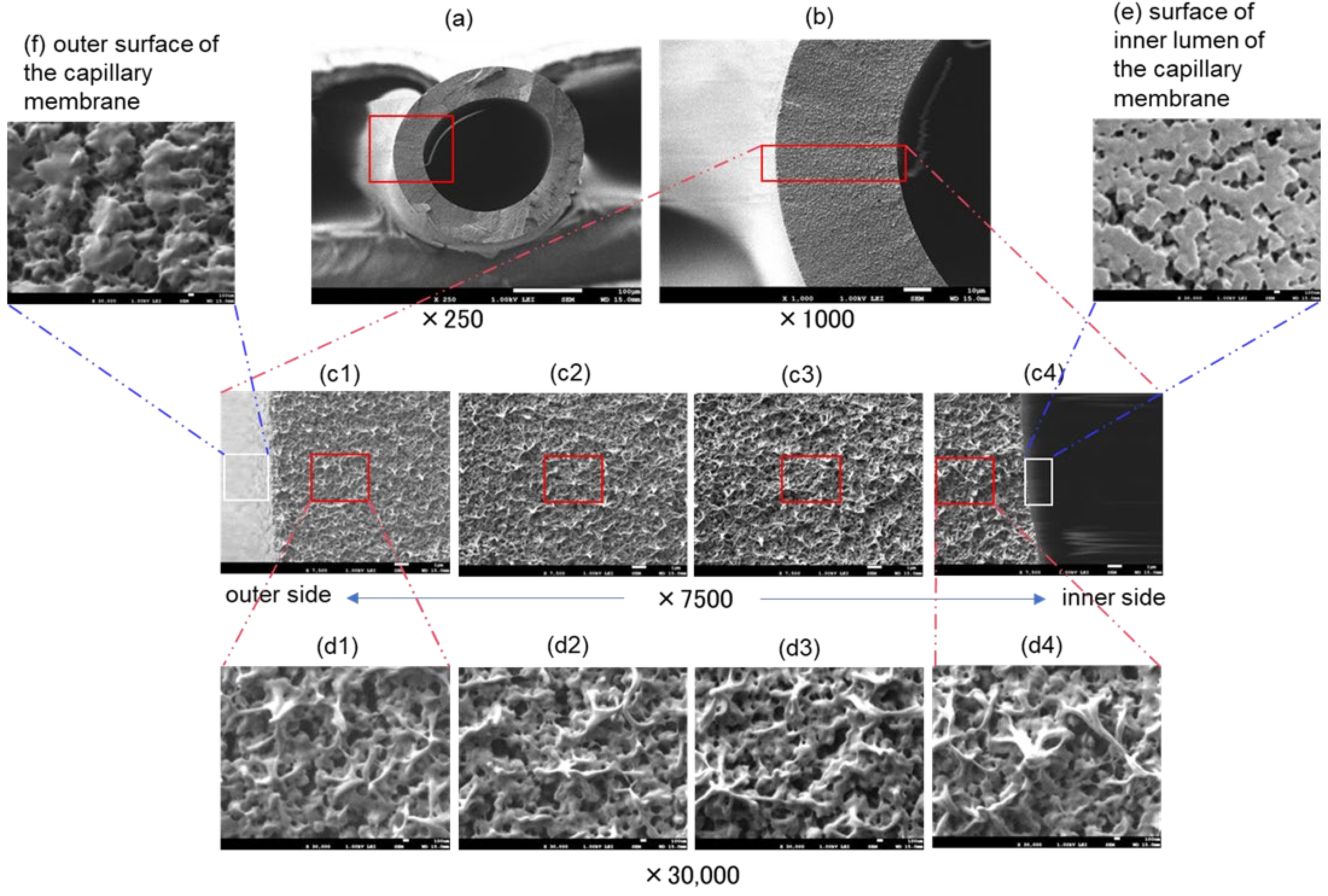 Membranes 12 00314 g004