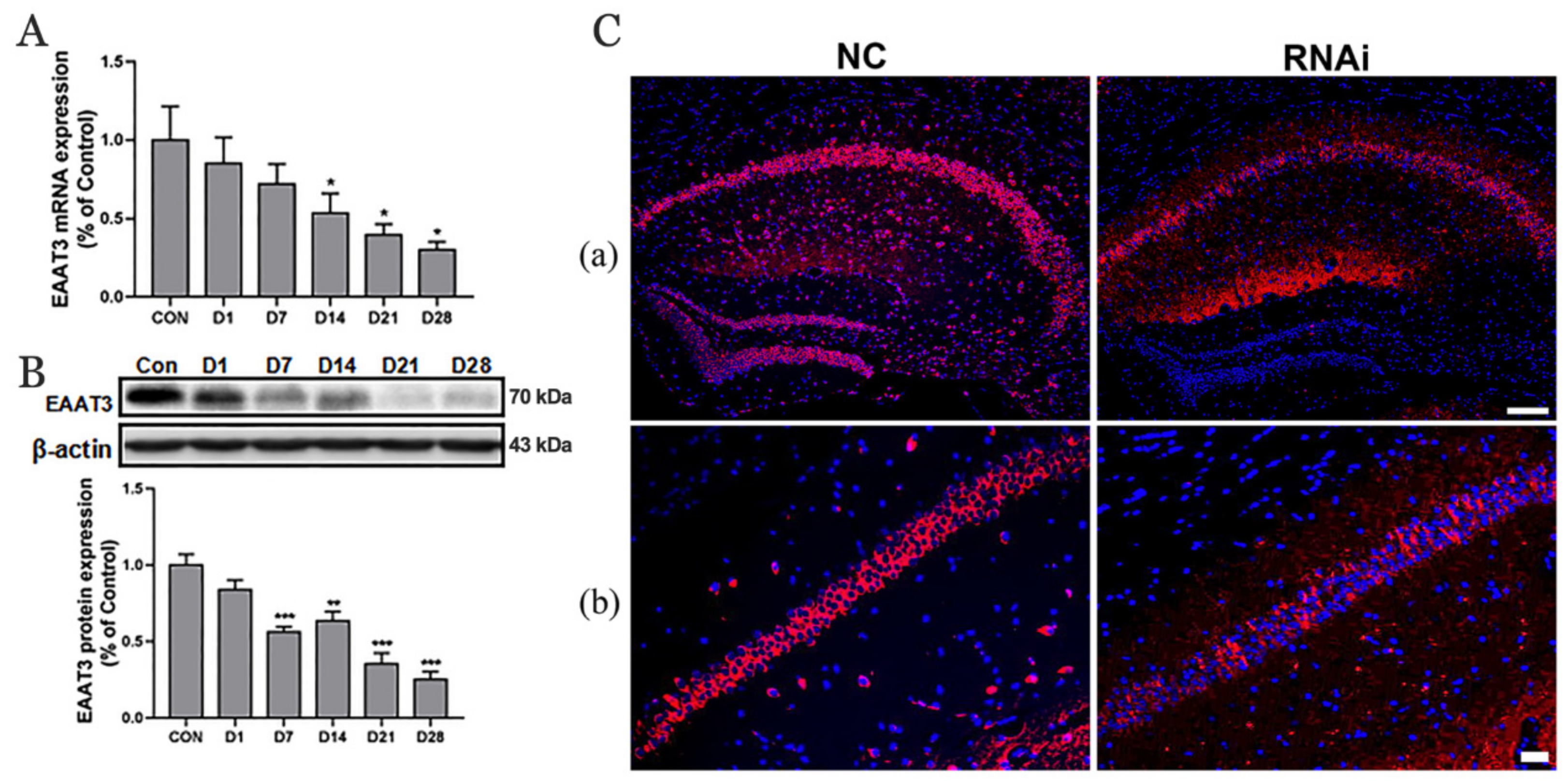 Membranes 12 00317 g001