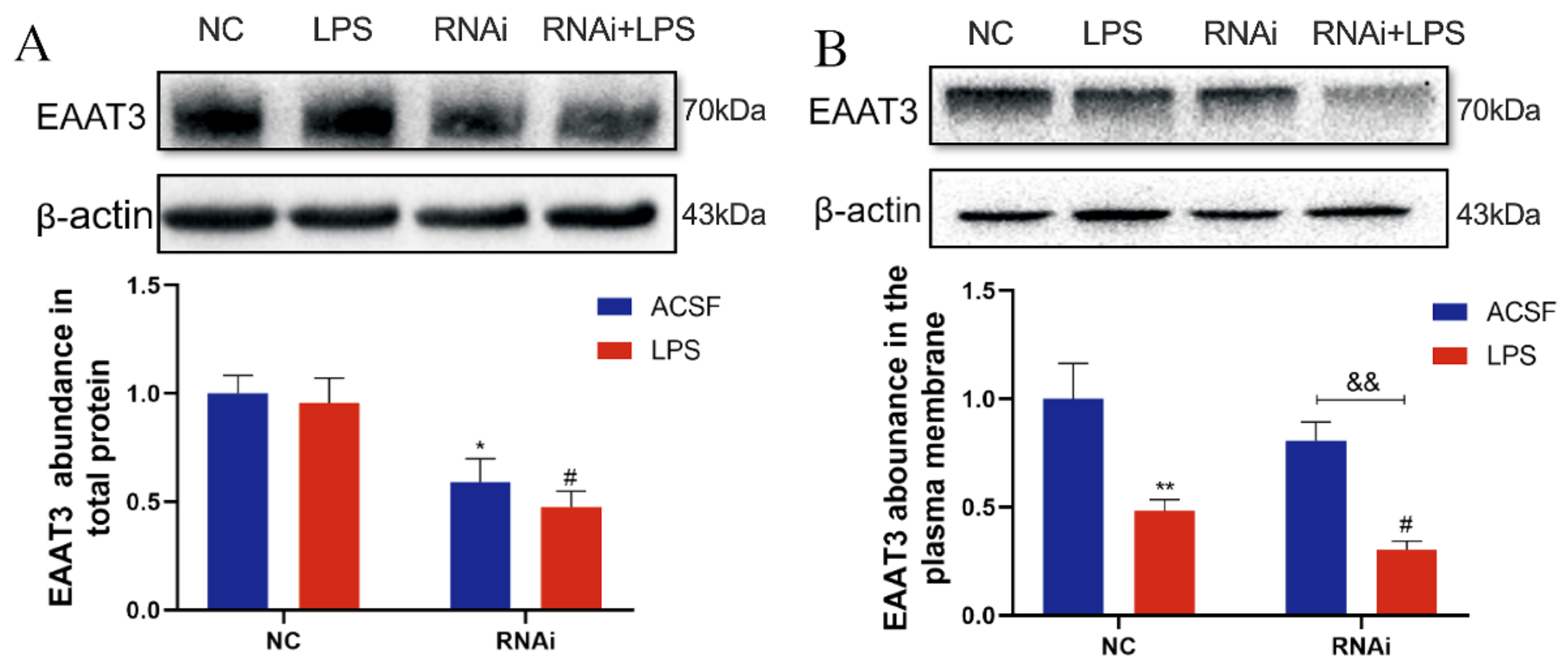 Membranes 12 00317 g005
