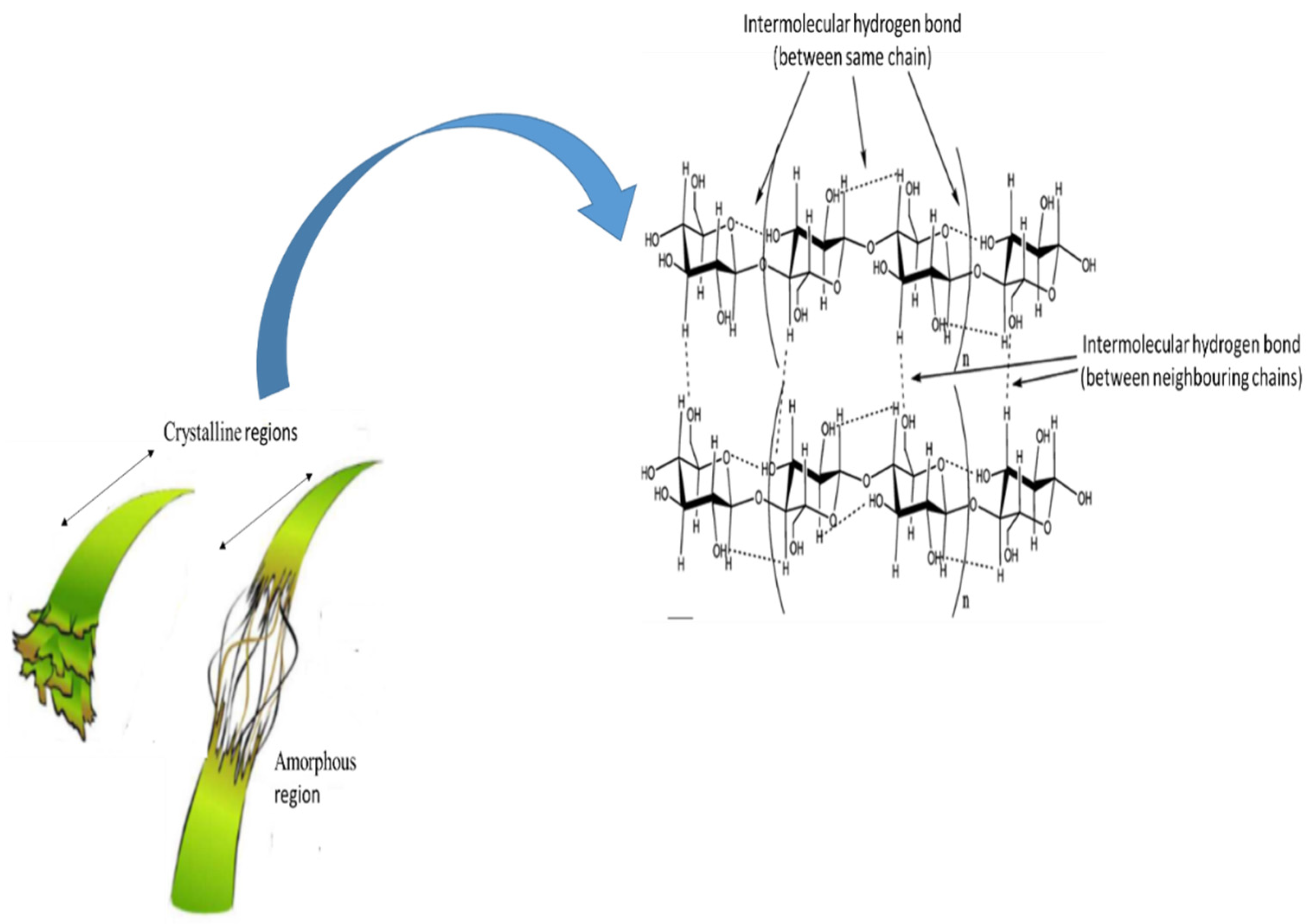 Membranes 12 00320 g005