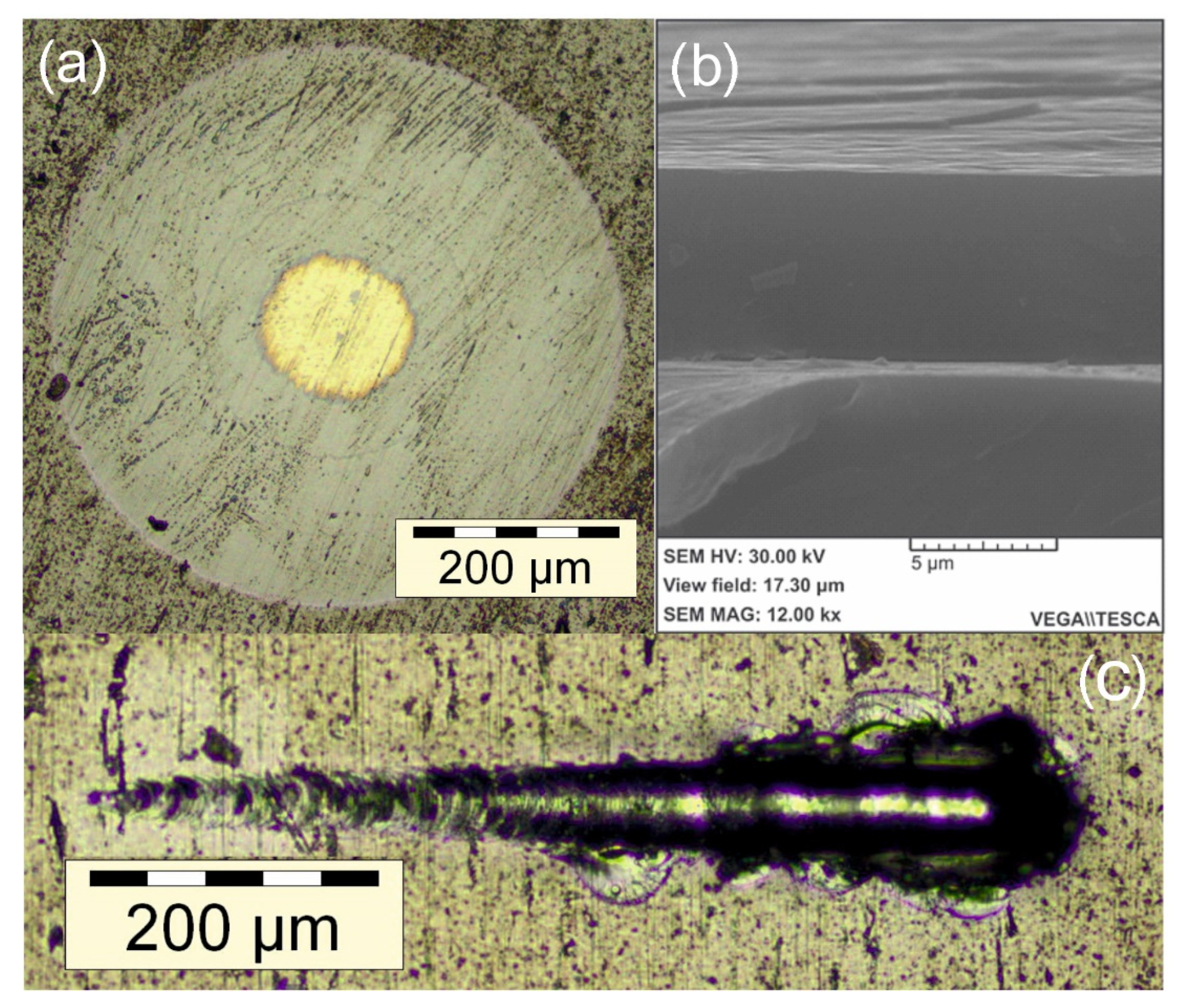 Membranes 12 00321 g009 550