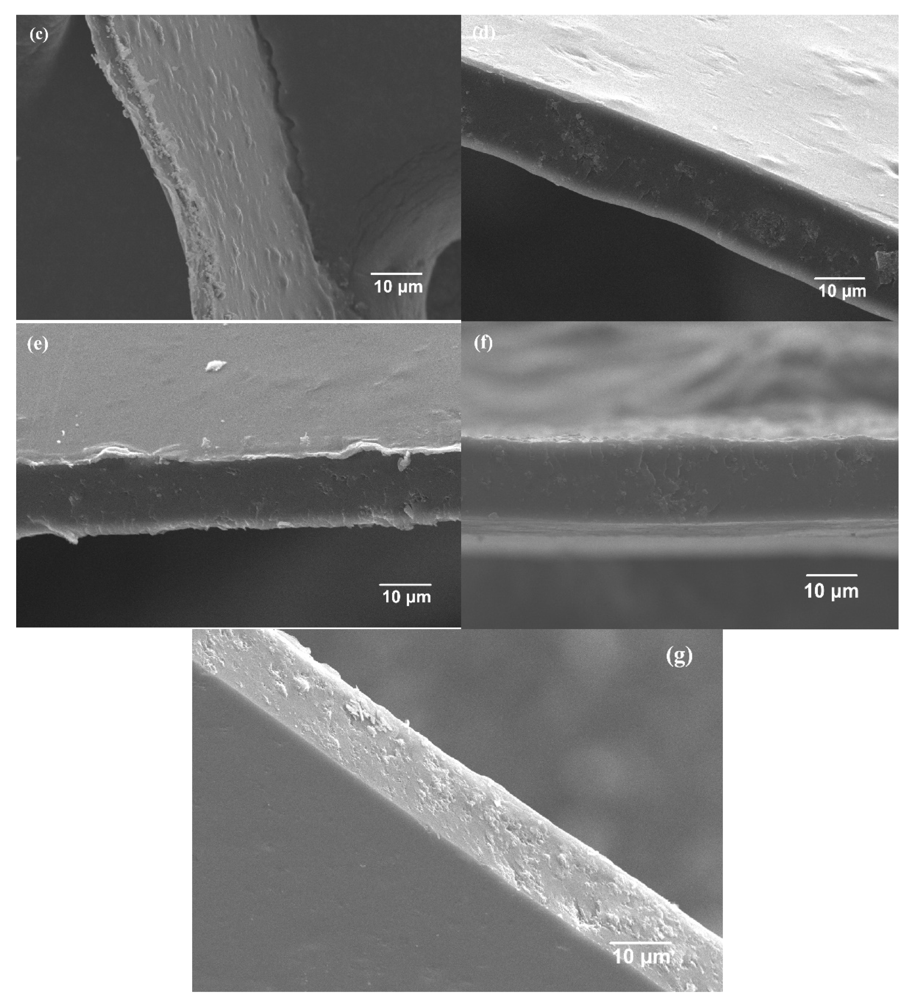 Membranes 12 00322 g007b 550