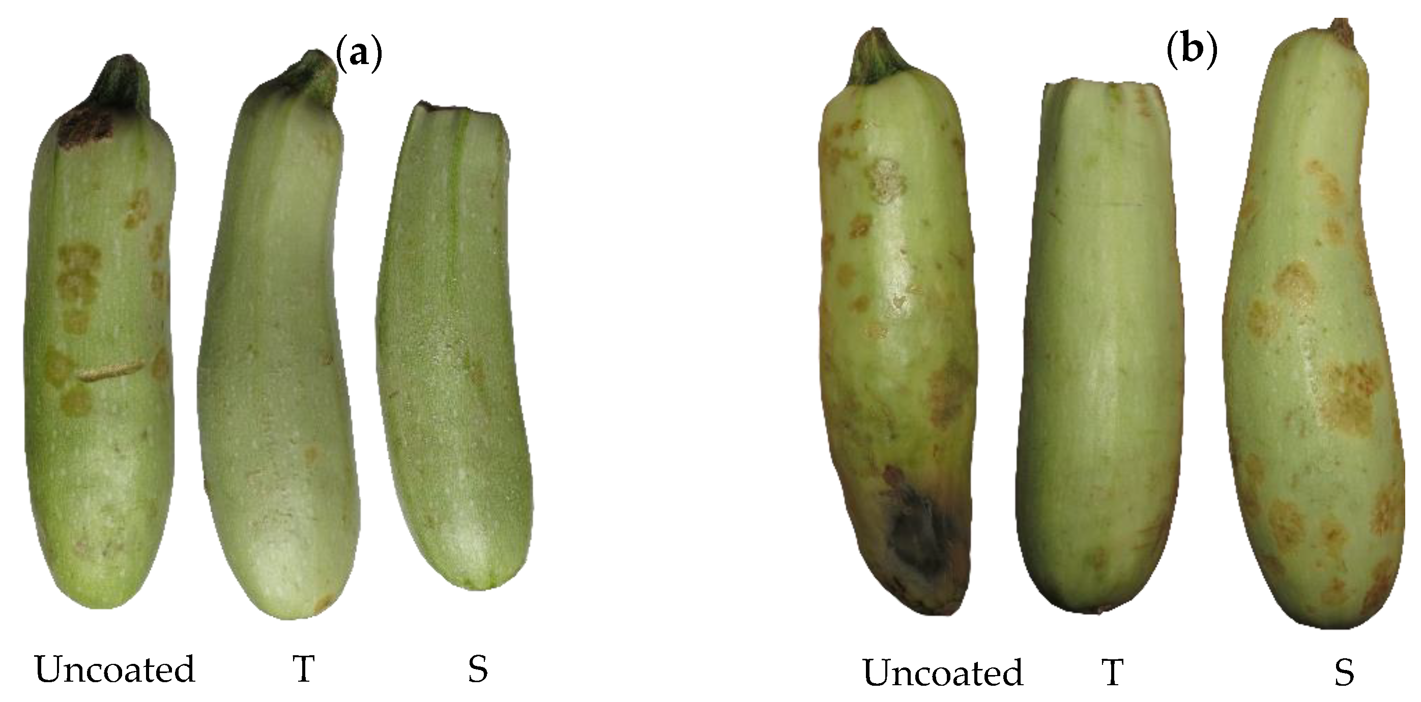 Membranes 12 00326 g008