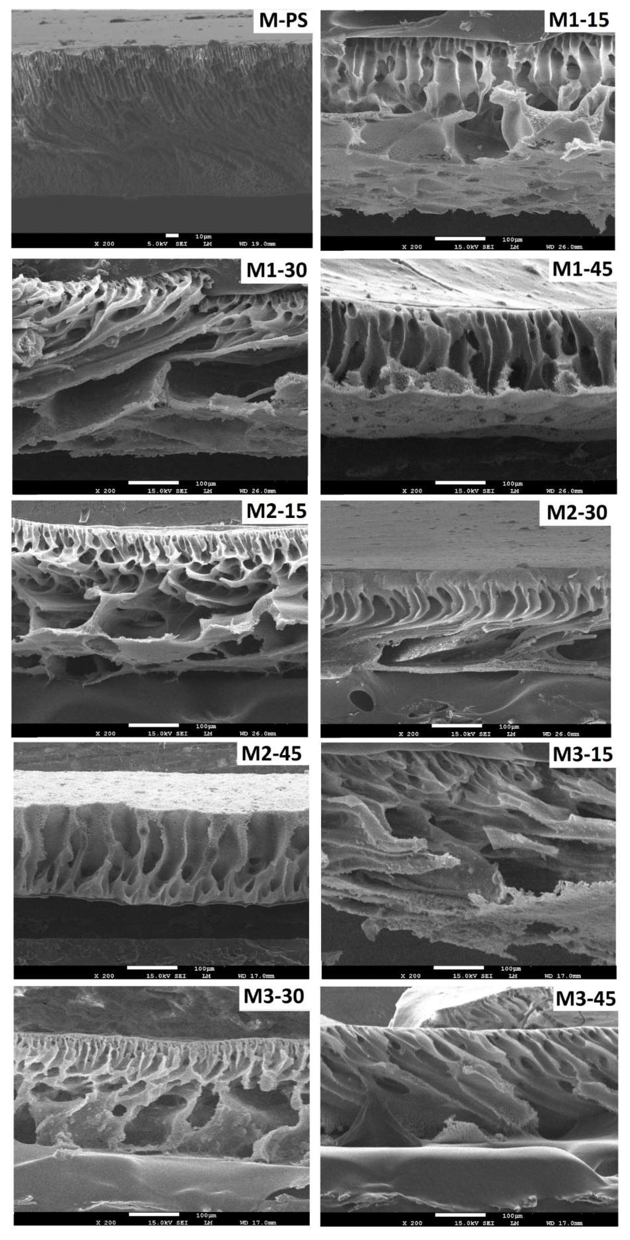 Membranes 12 00329 g005 550