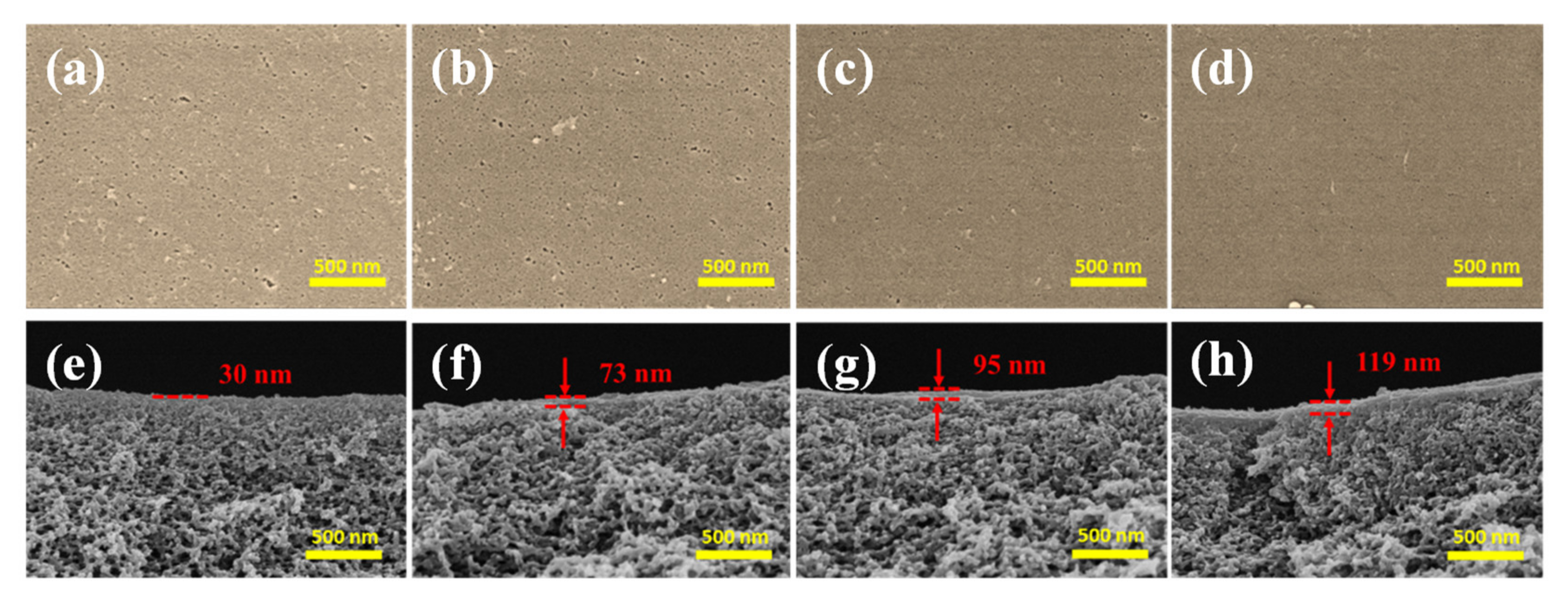 Membranes 12 00340 g005