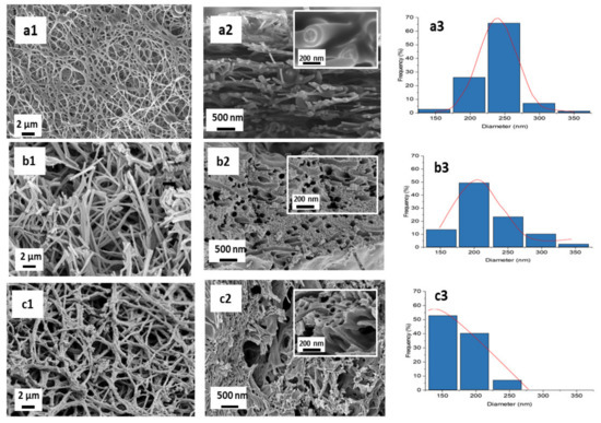 Development of Free-Standing Titanium Dioxide Hollow Nanofibers ...