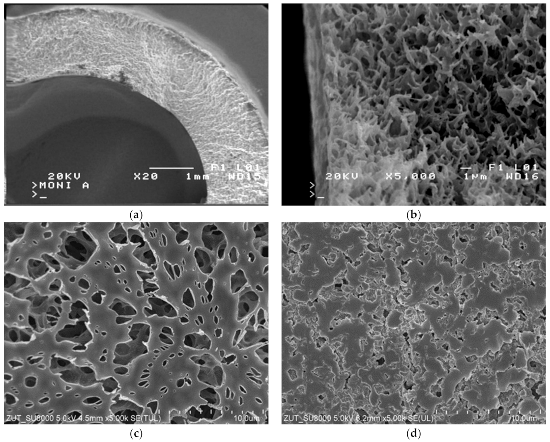 Membranes 12 00351 g006