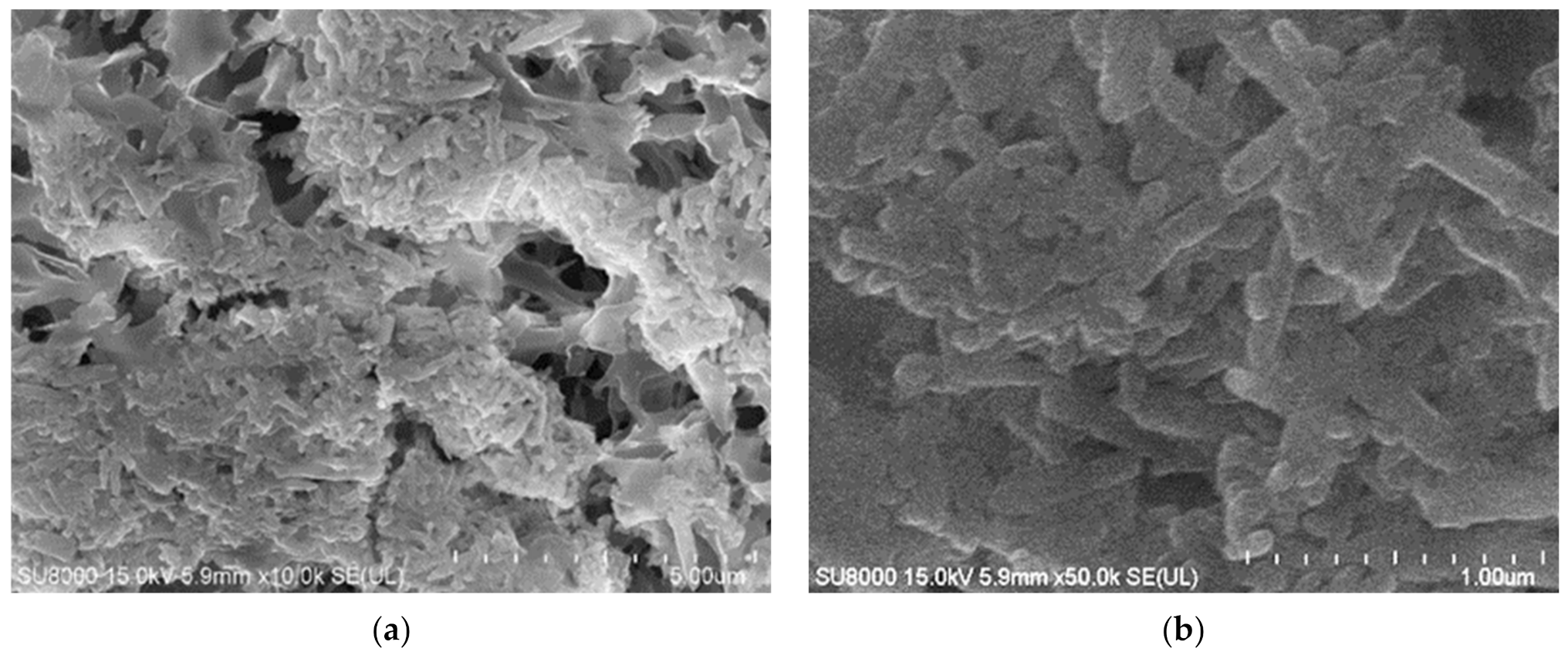 Membranes 12 00351 g012